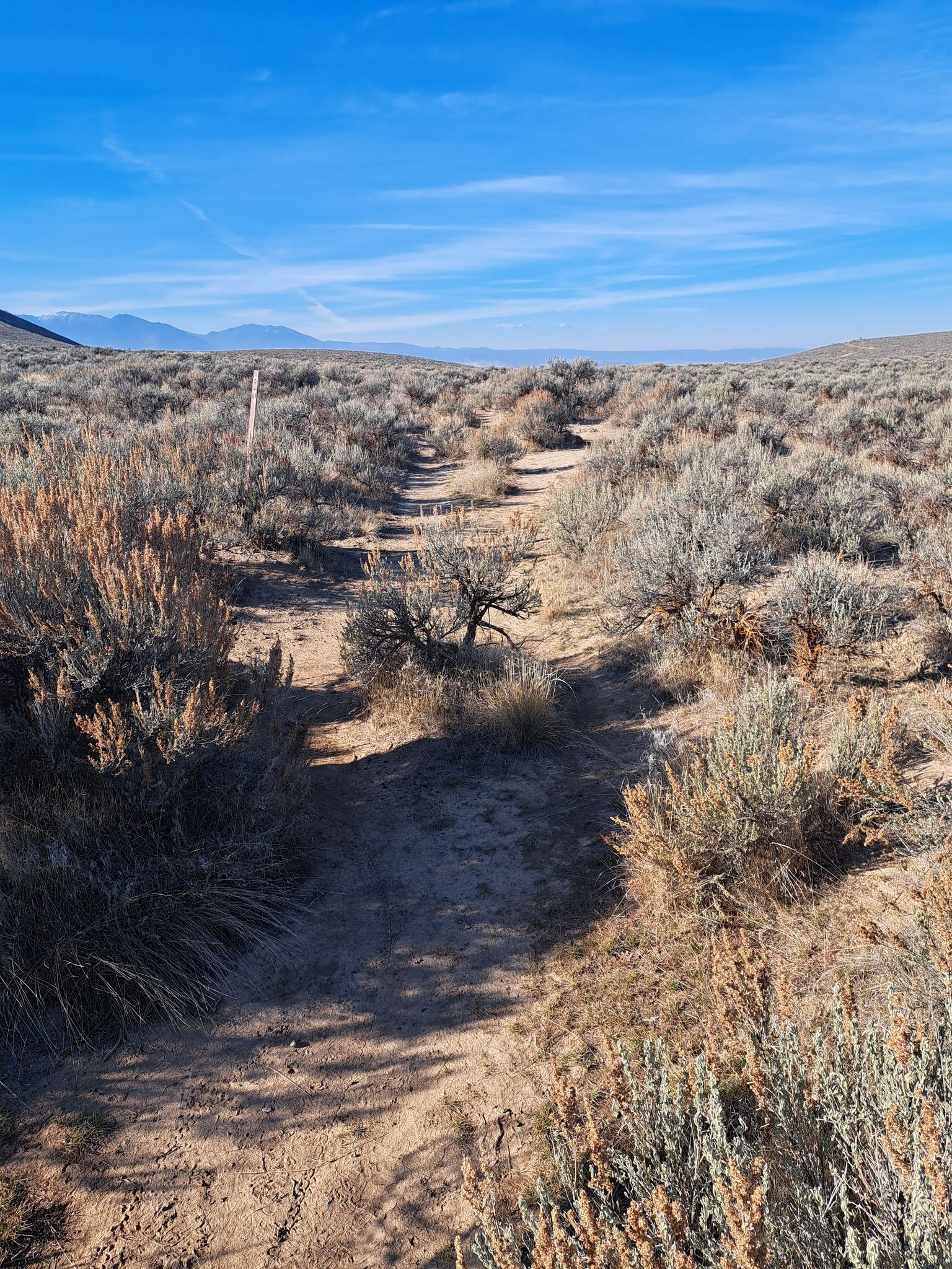 original guts of the oregon trail