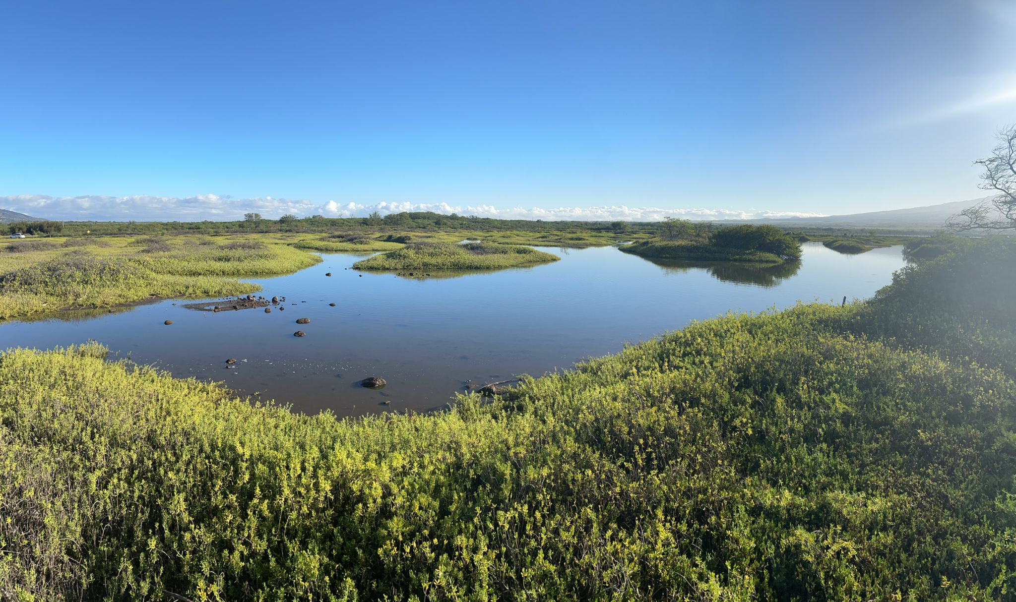 Expansive wetland with calm water, green vegetation, and distant mountains under a bright sky. - Keālia Coastal Boardwalk