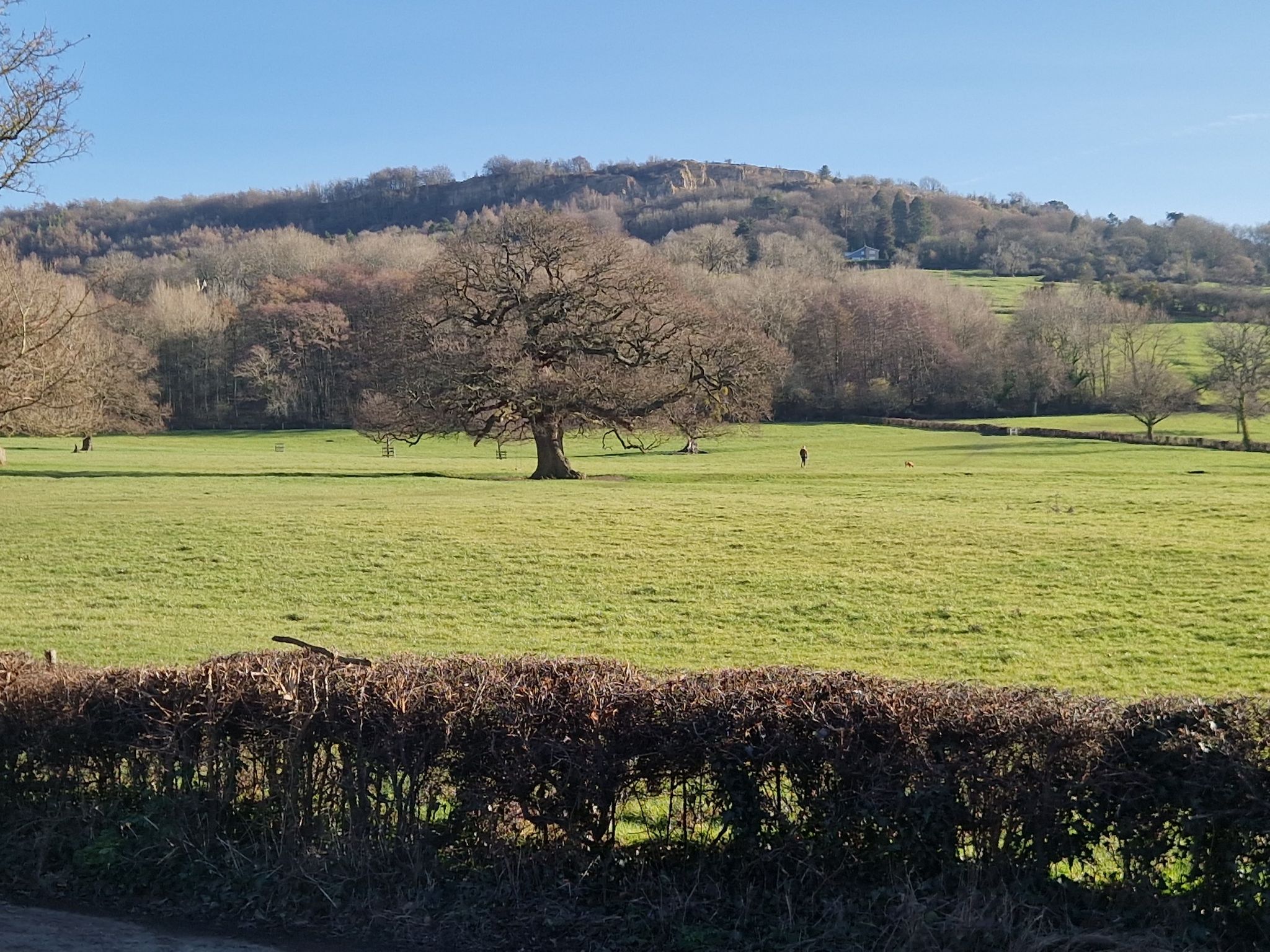 Leckhampton hill