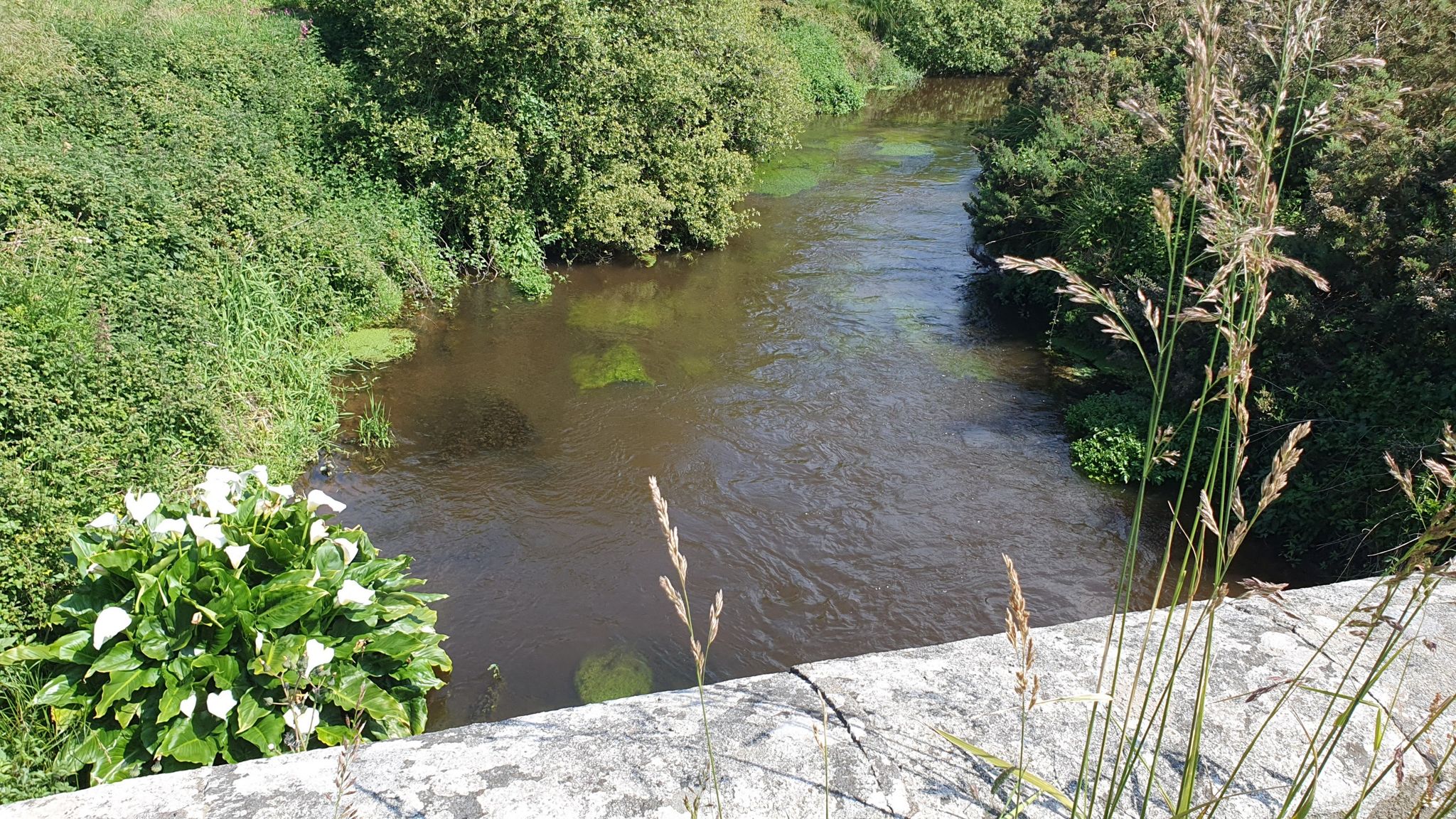 Die Brücke bei Creac'h Pont