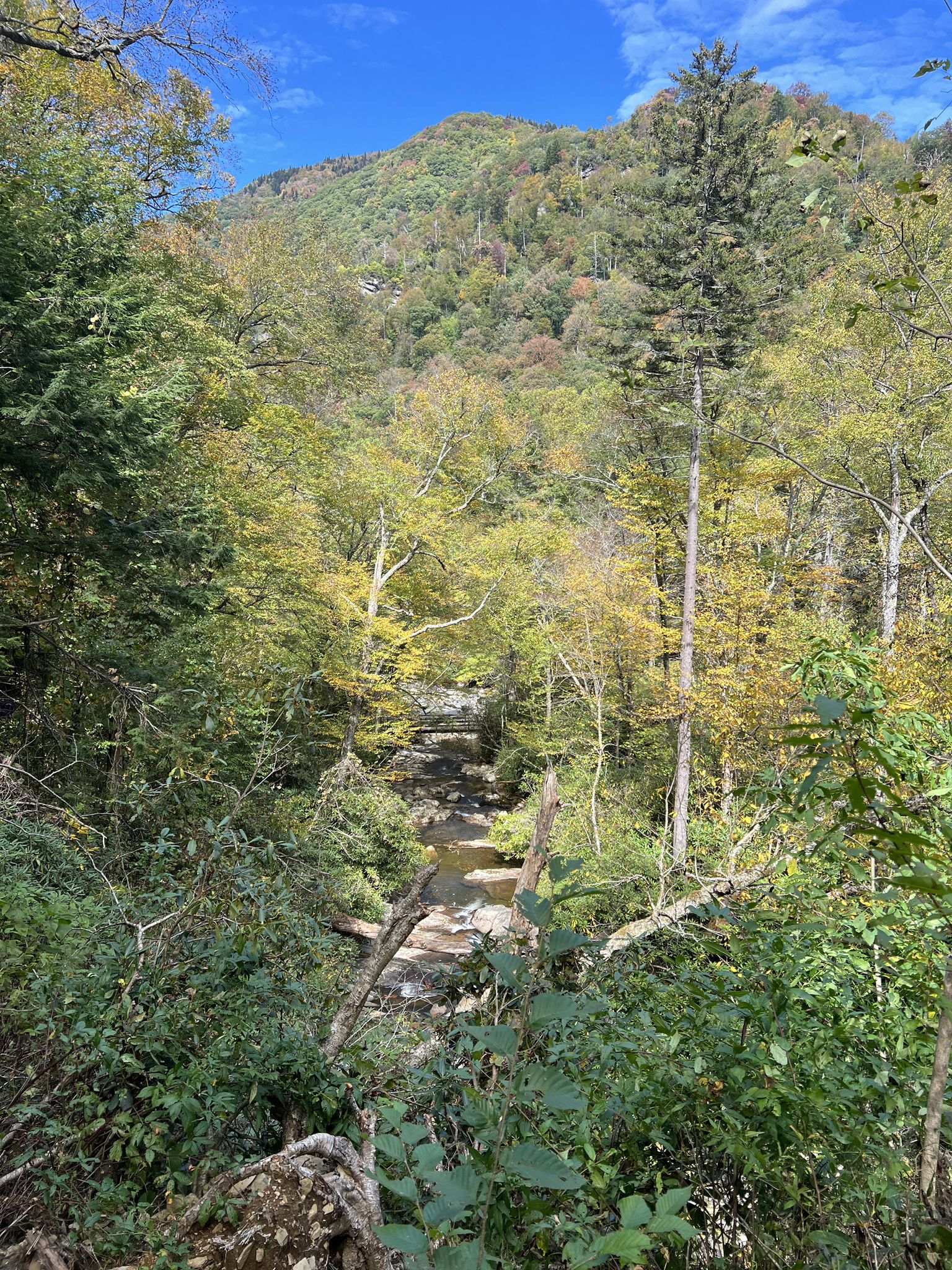 Mountain stream flowing through a lush, green forest under a blue sky. - Chimney Tops Trail