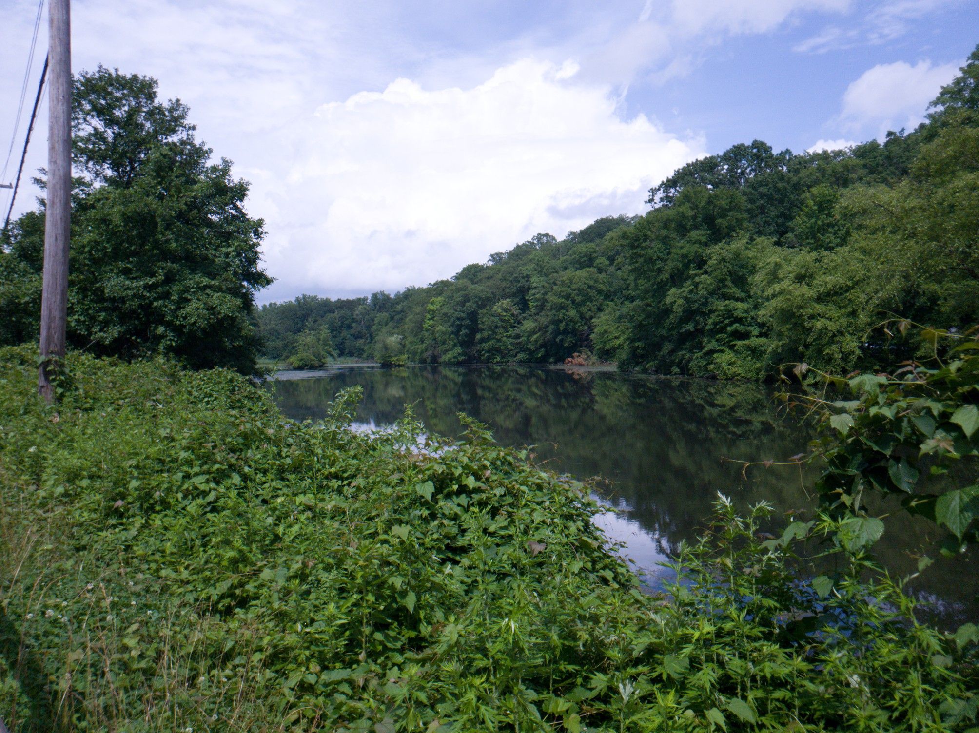 River flowing through dense green foliage, with a utility pole, under cloudy sky. - Eastview Pumping Station loop from Westchester