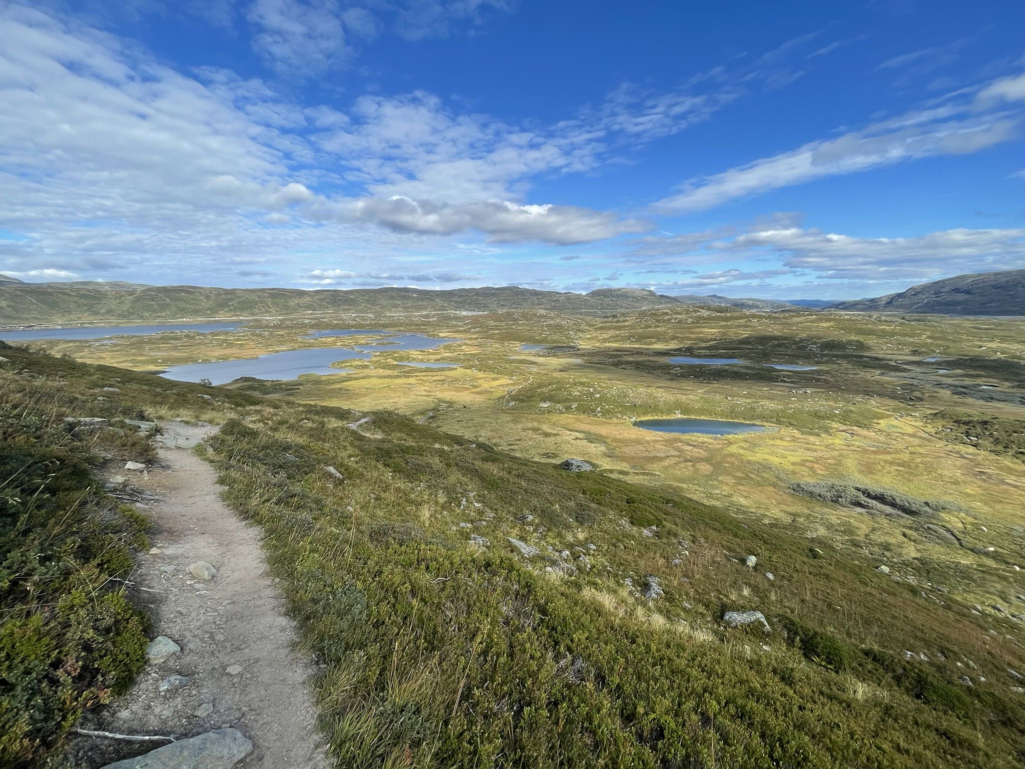 View over Haukelifjell Plain