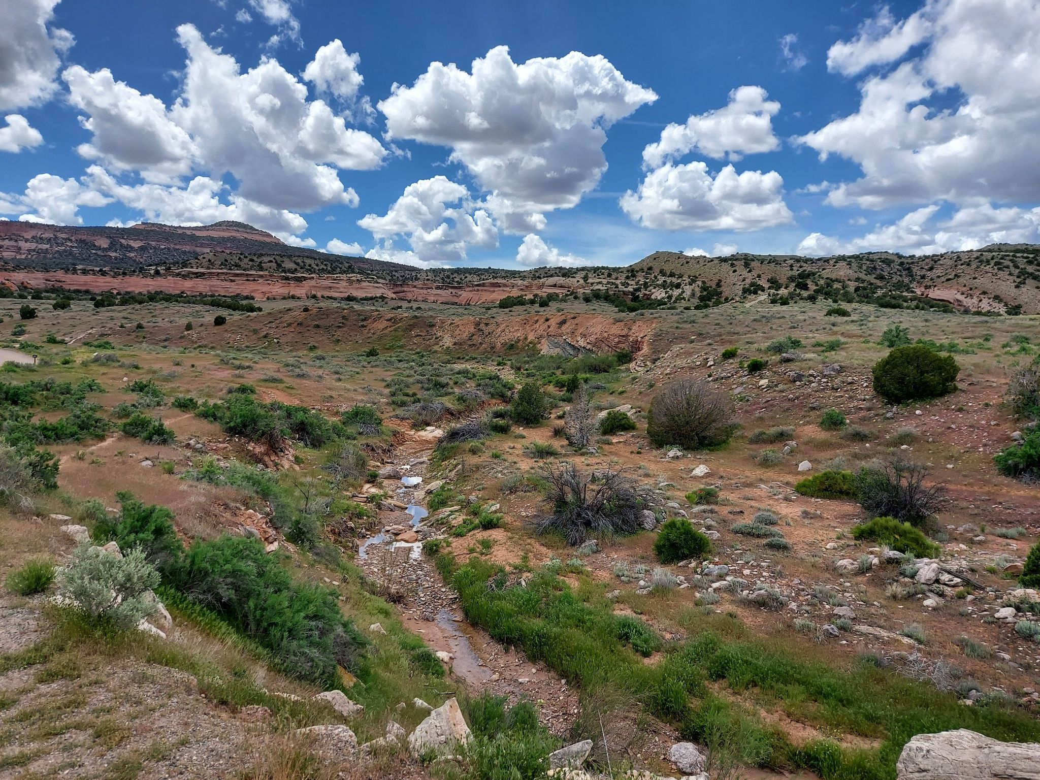 Small stream winding through an arid valley with green vegetation under a cloudy sky. - D1 - K10 - Sadie's Loop Trail
