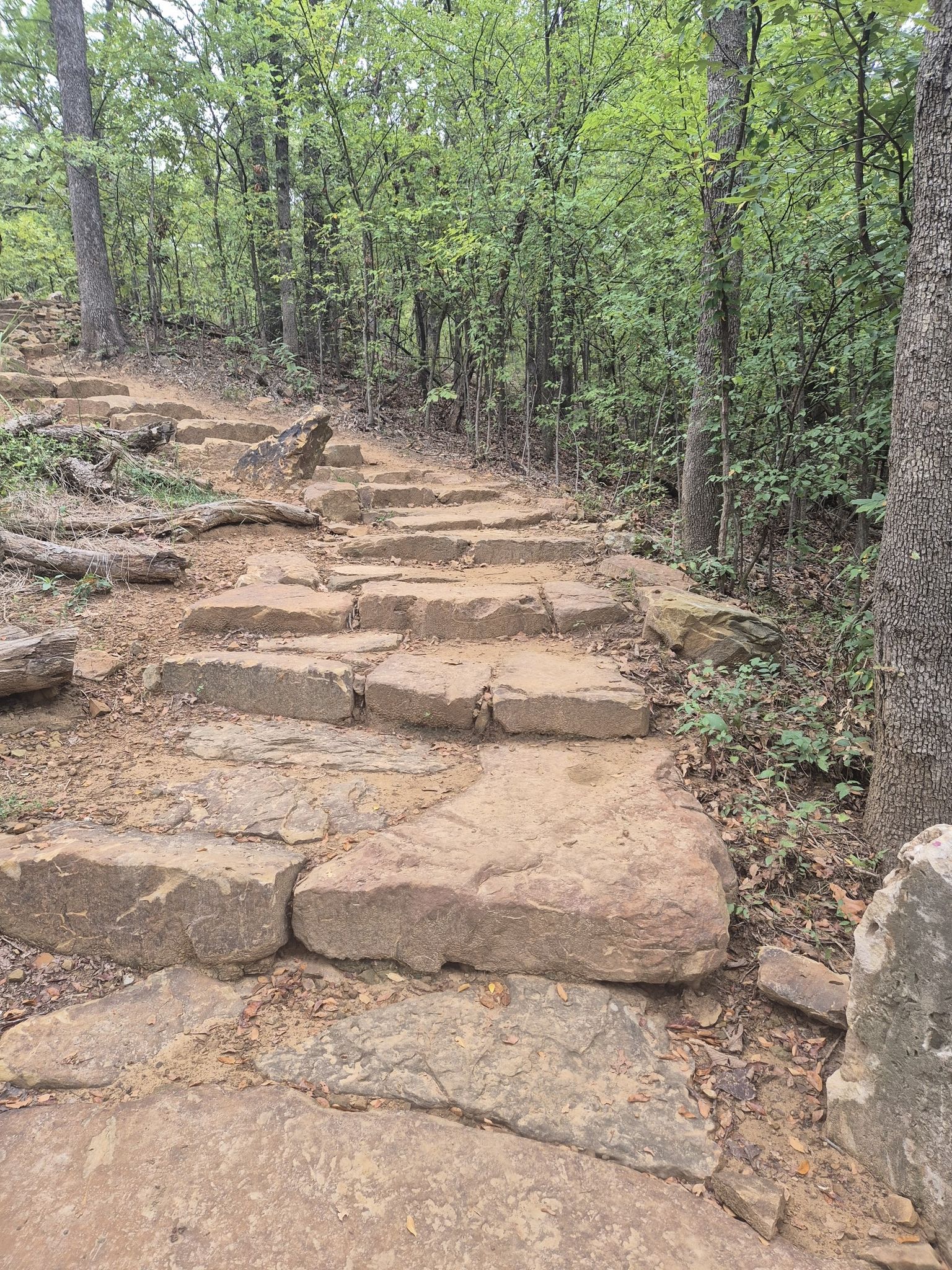 Natural stone steps winding uphill through a green forest. - Turkey Mountain loop from Turkey Mountain - Lower Lot