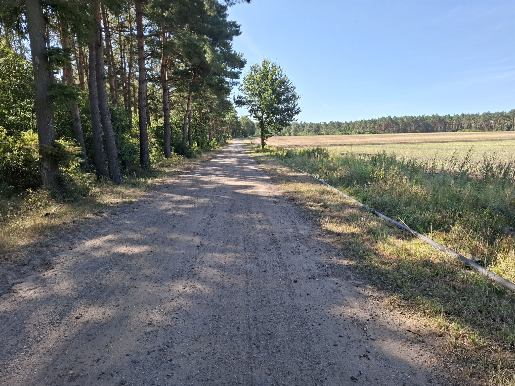 Weg zwischen Wulfsen und Toppenstedt 