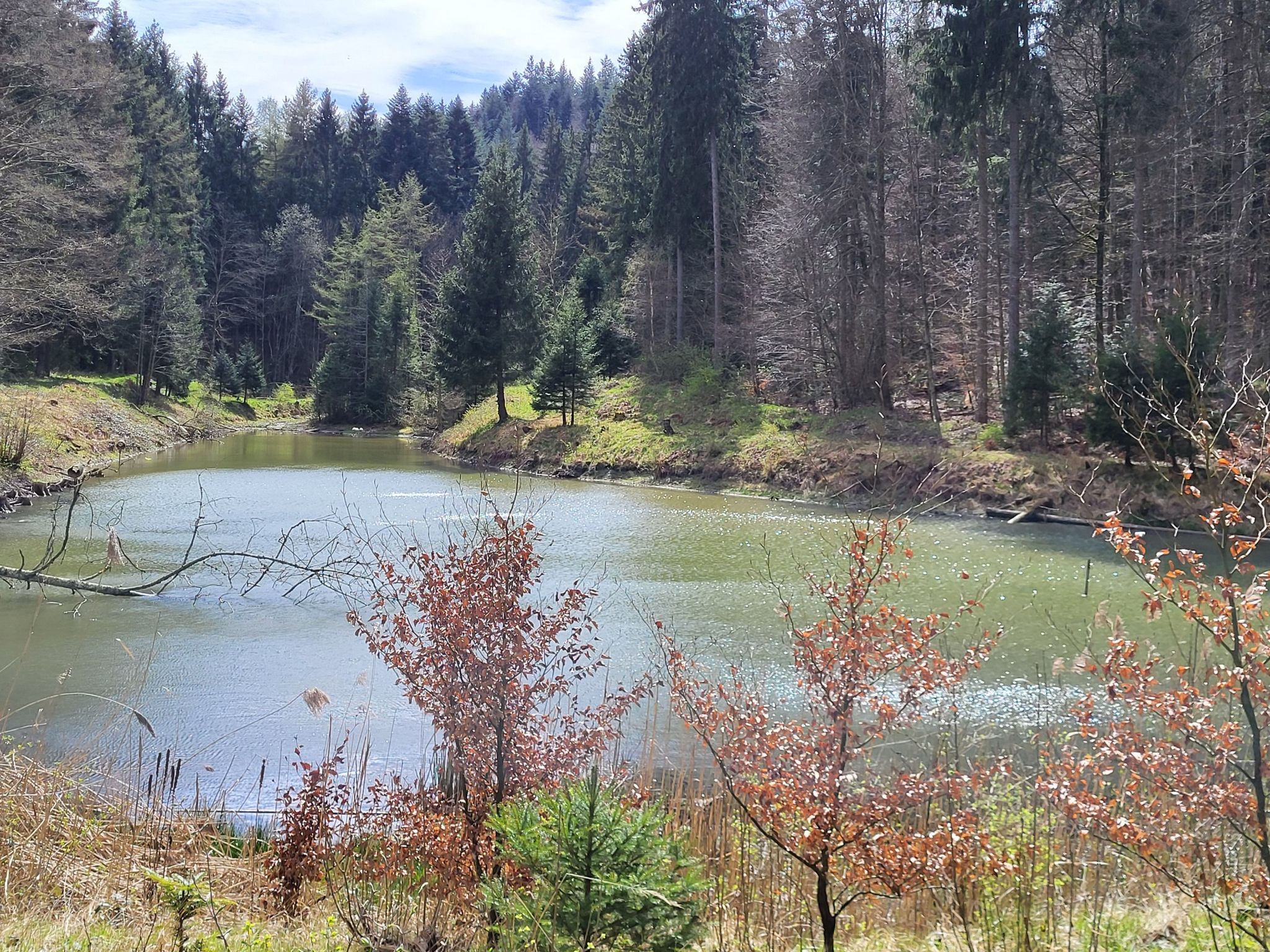 Weiher mit Windböen