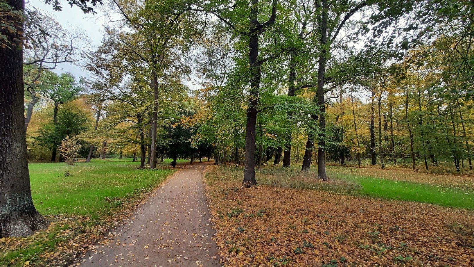 Park Georgium