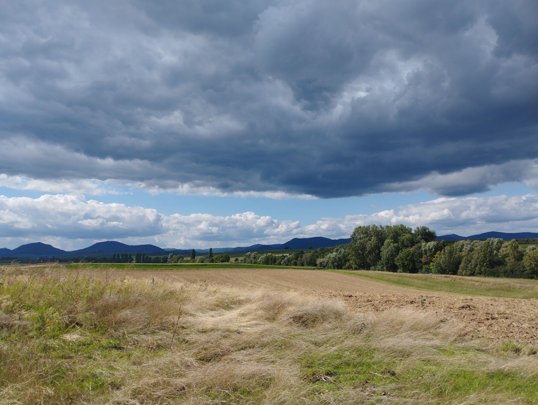 Abgeerntet