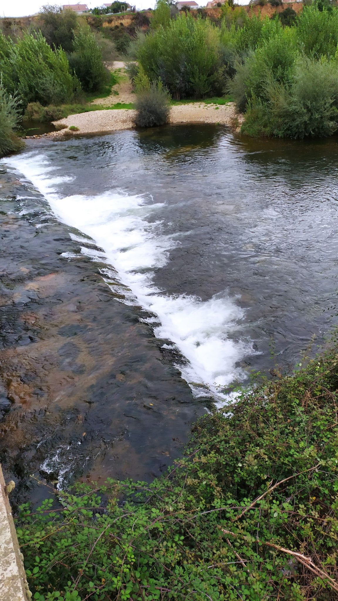 Río Órbigo
