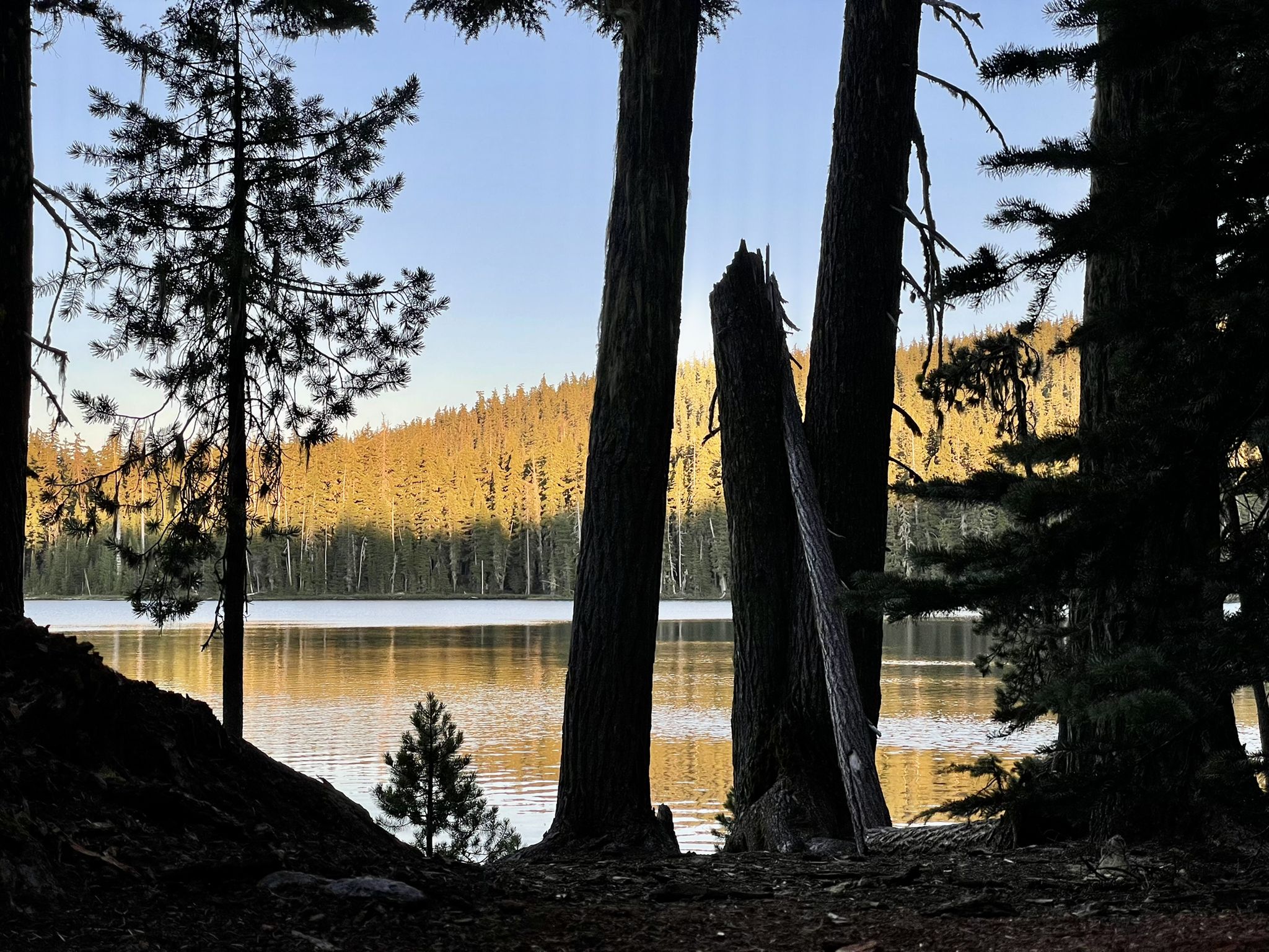 Lake view through dark trees, with a sunlit forested hill in background. - Bobby Lake Trail