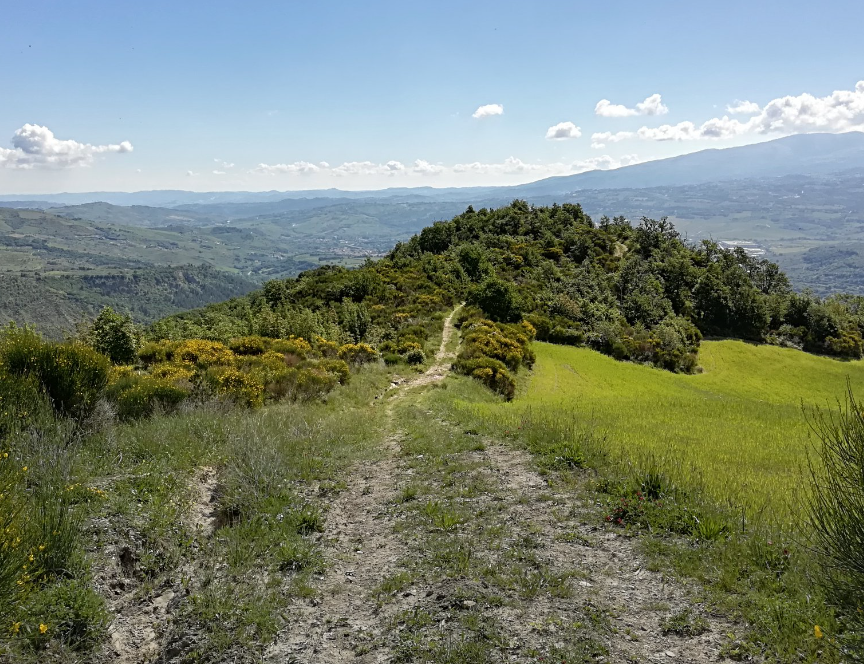 La discesa direzione mare