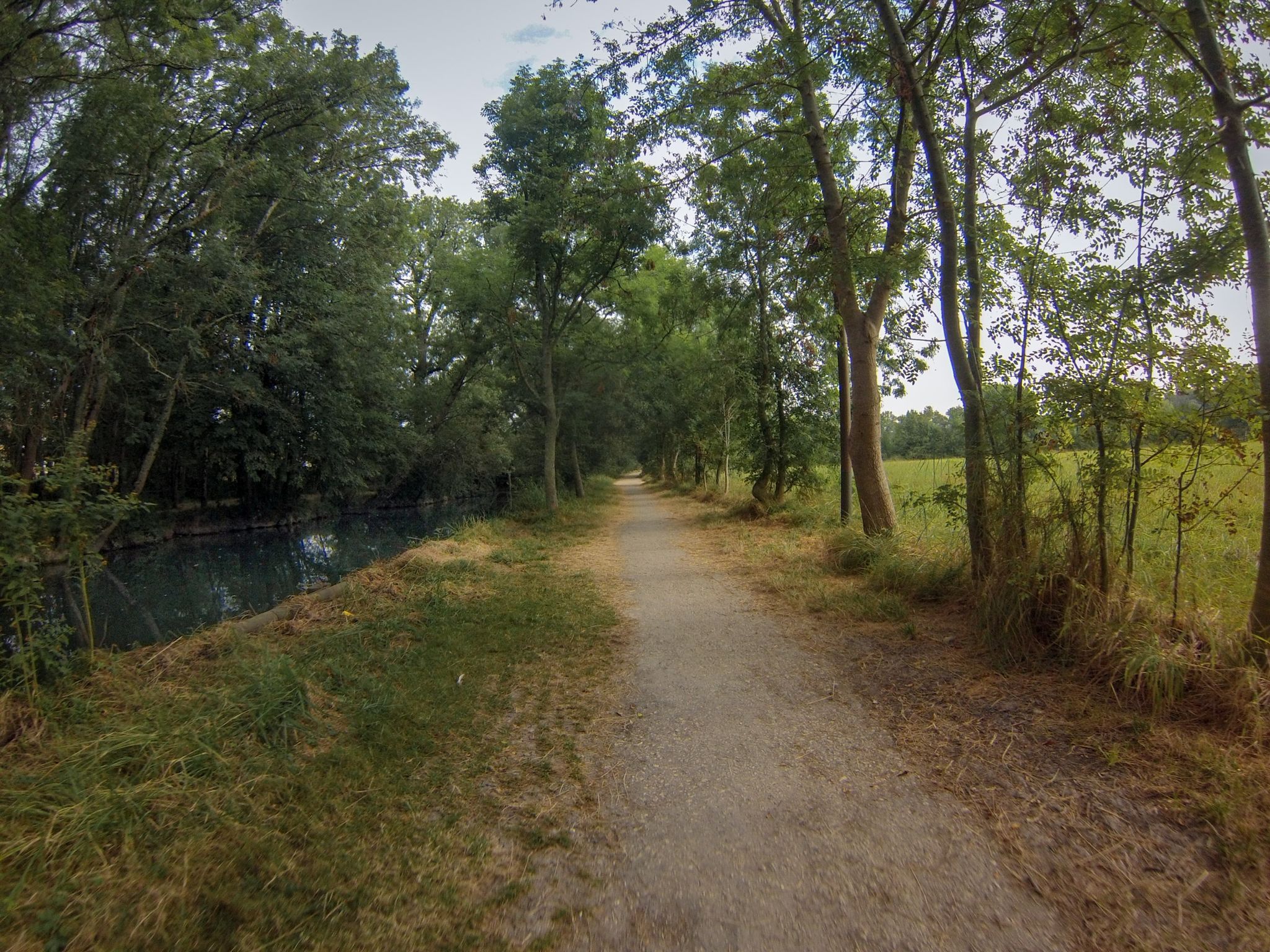 The Segone river