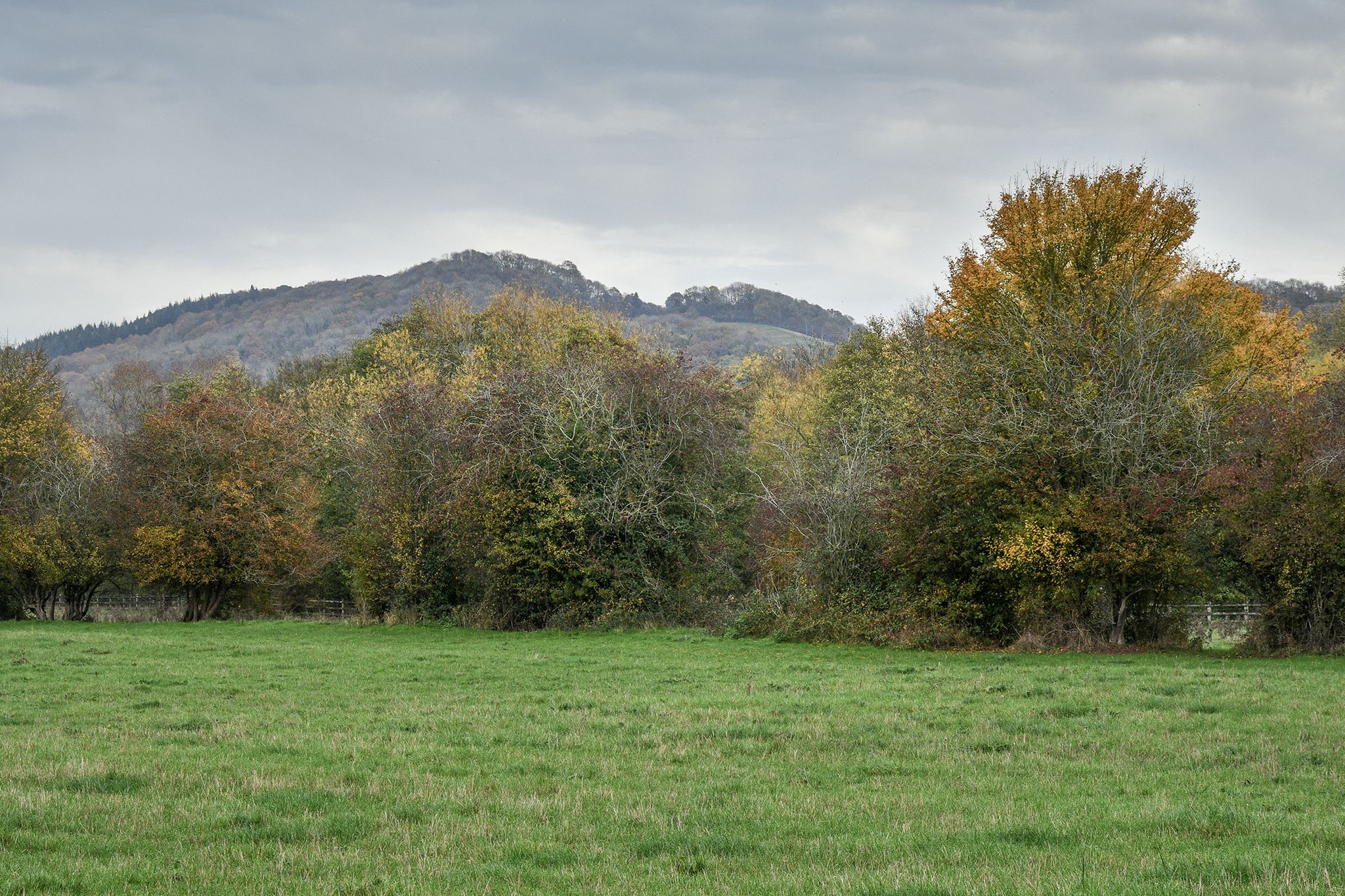 Ledbury hills