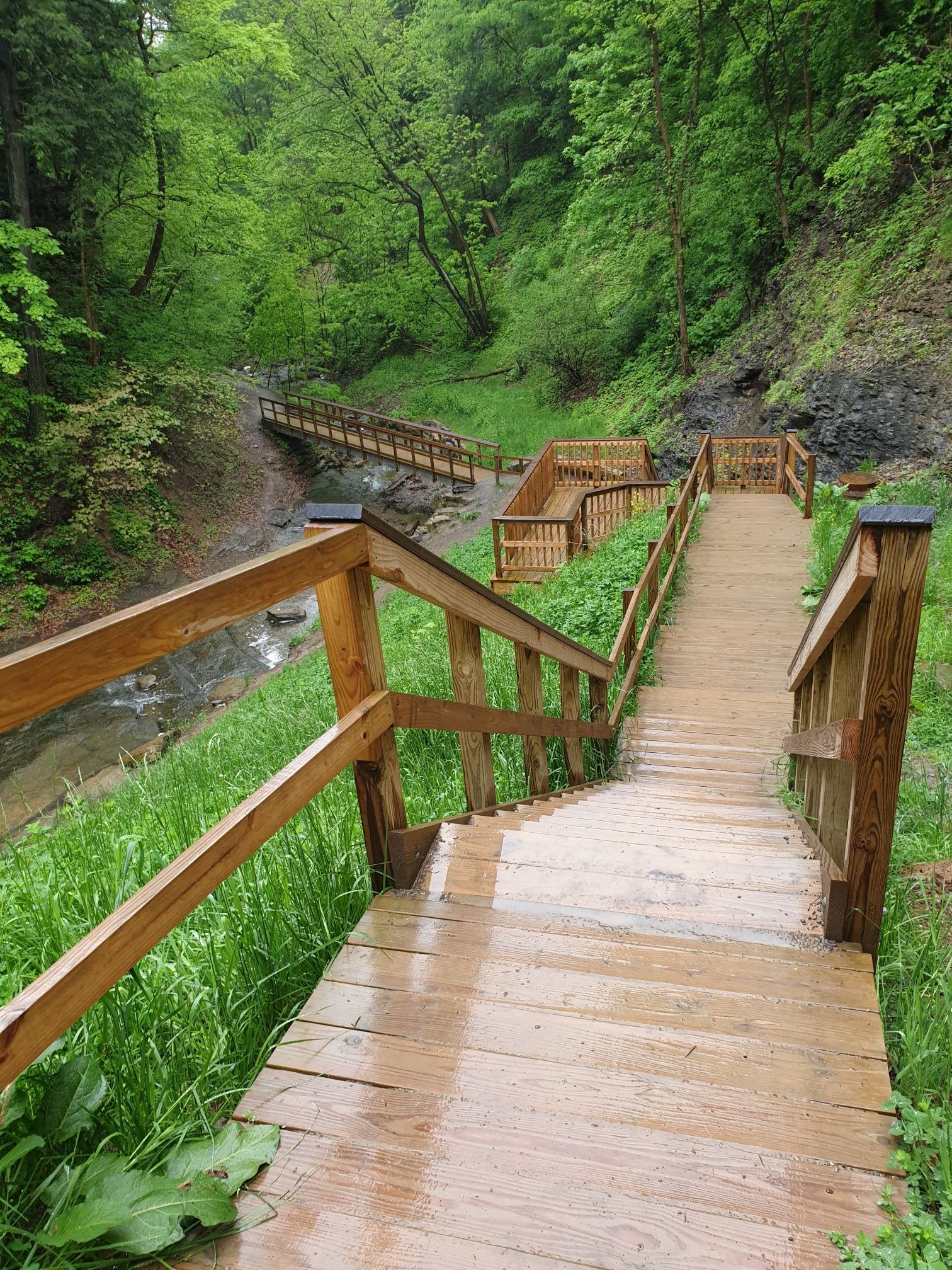 Weg zum Wasserfall