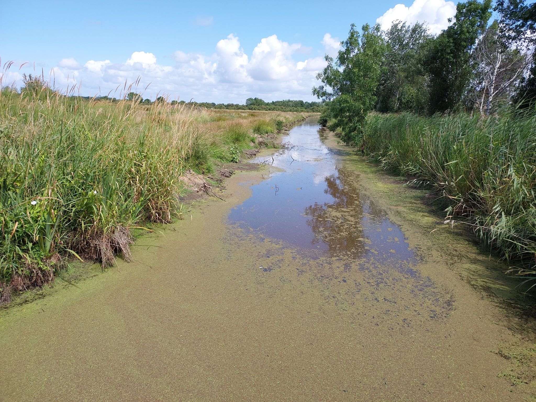 Kanal
