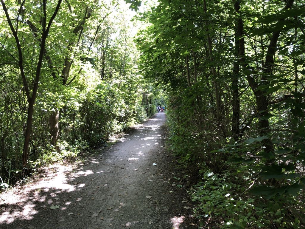 Paint Creek 