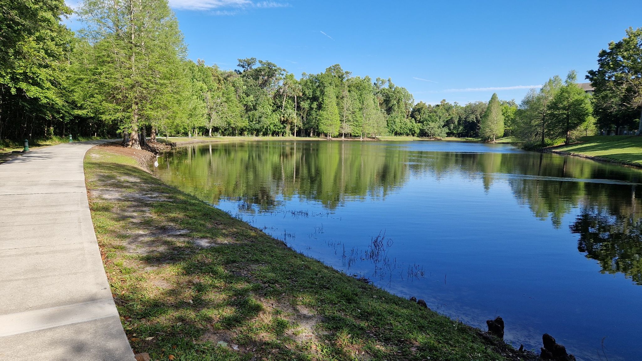 Paved path alongside a calm lake reflecting green trees under a clear sky. - East Village Loop