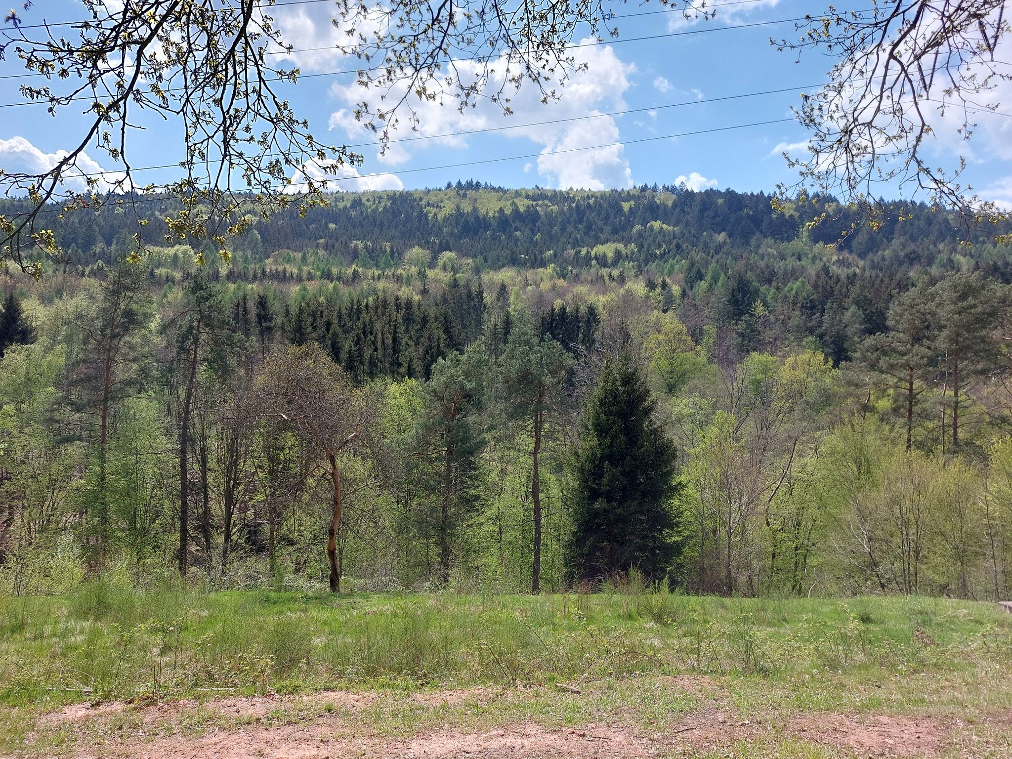 farben des frühlings