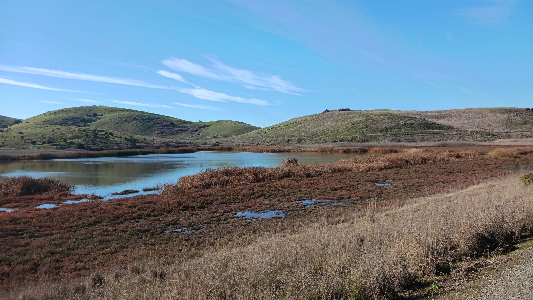 Tranquil lake surrounded by marshland and rolling hills under a blue sky. - Bayview Trail Observation Deck – Alameda Creek Trail loop from Union City