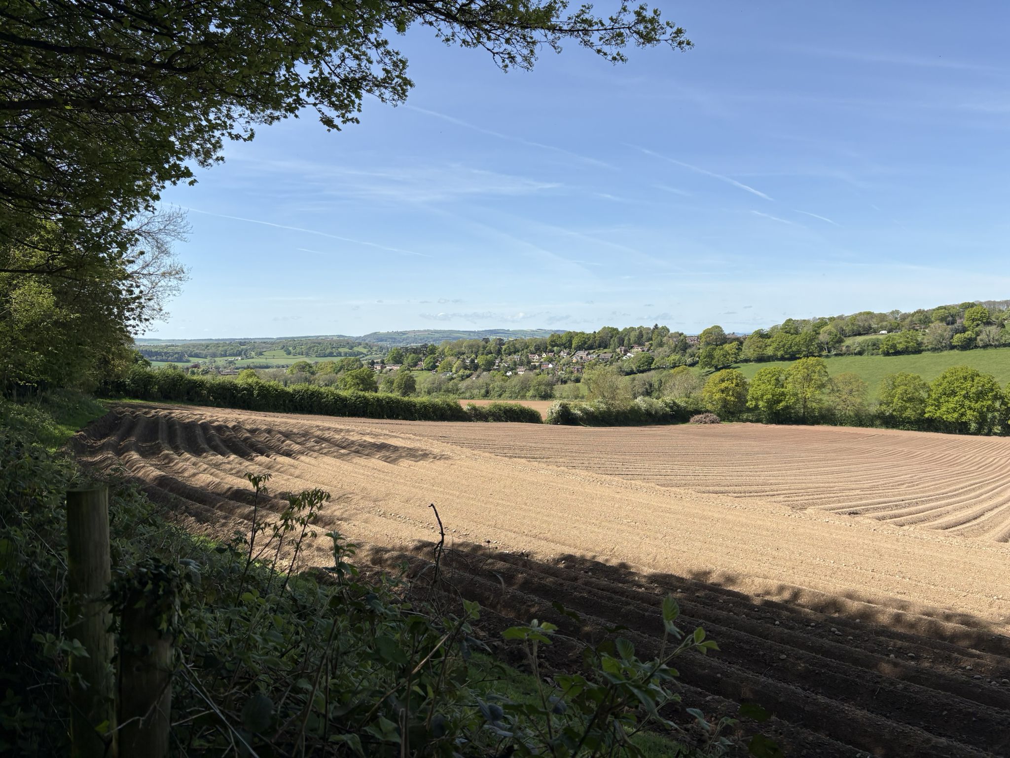 Wellington Heath from Frith Wood