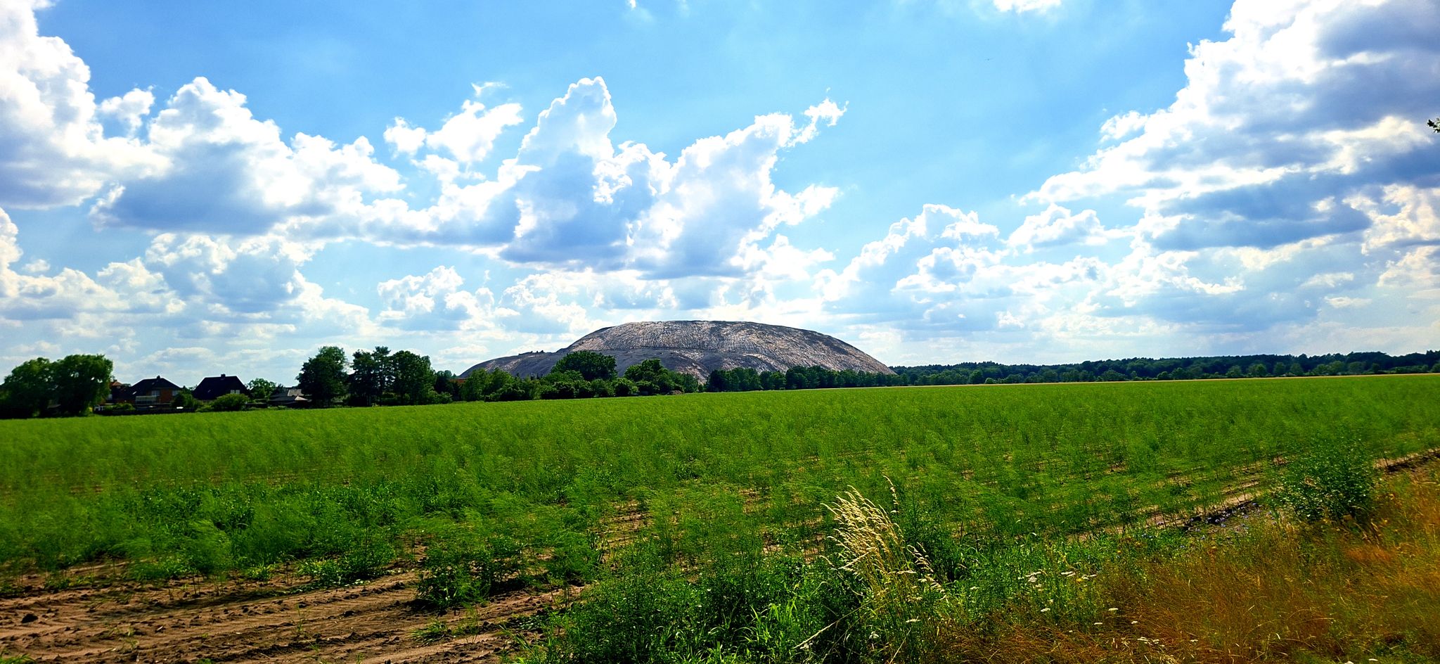 Monte Kali
