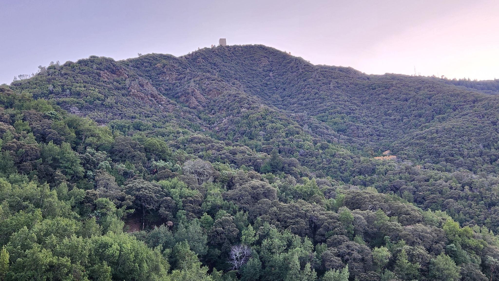 A lush green forested mountain with a small building on the peak. - Woods Trail and Barlow Road Loop to Bald Mountain
