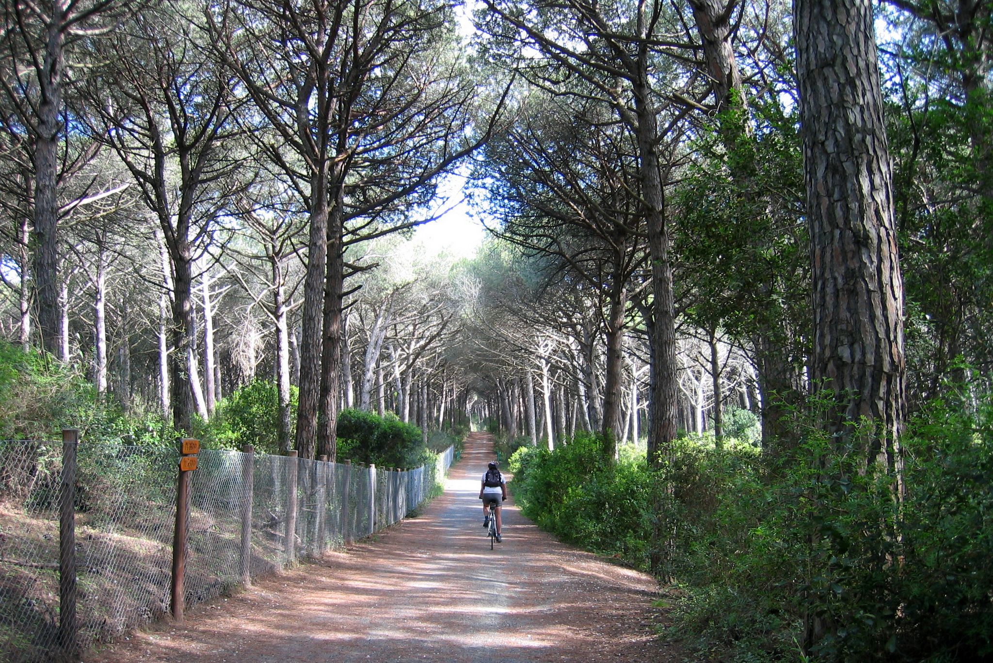 Radweg und Joggingstrecke