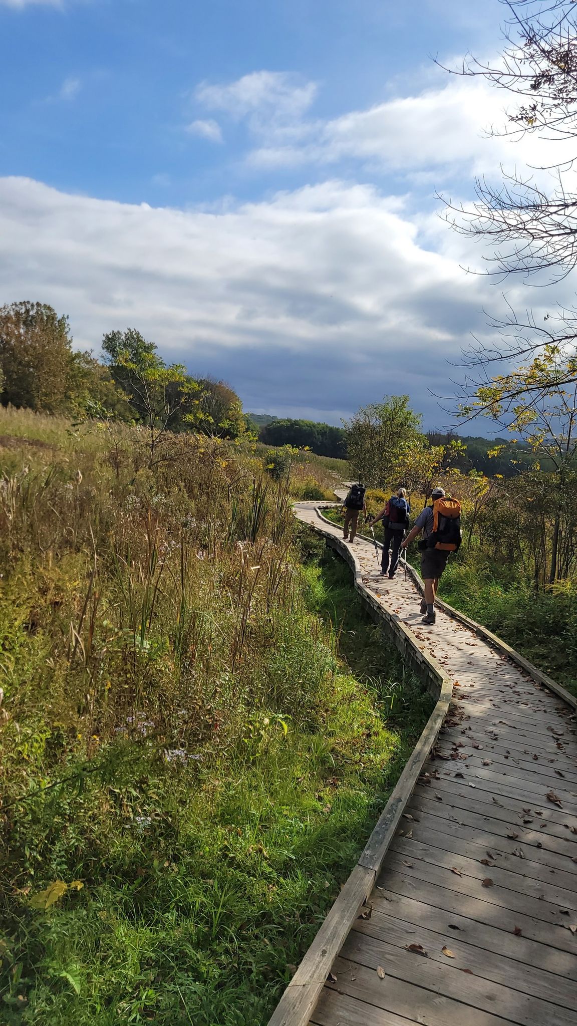 Three hikers with backpacks walk on a wooden boardwalk through tall grasses. - Pochuck Boardwalk on the Appalachian Trail