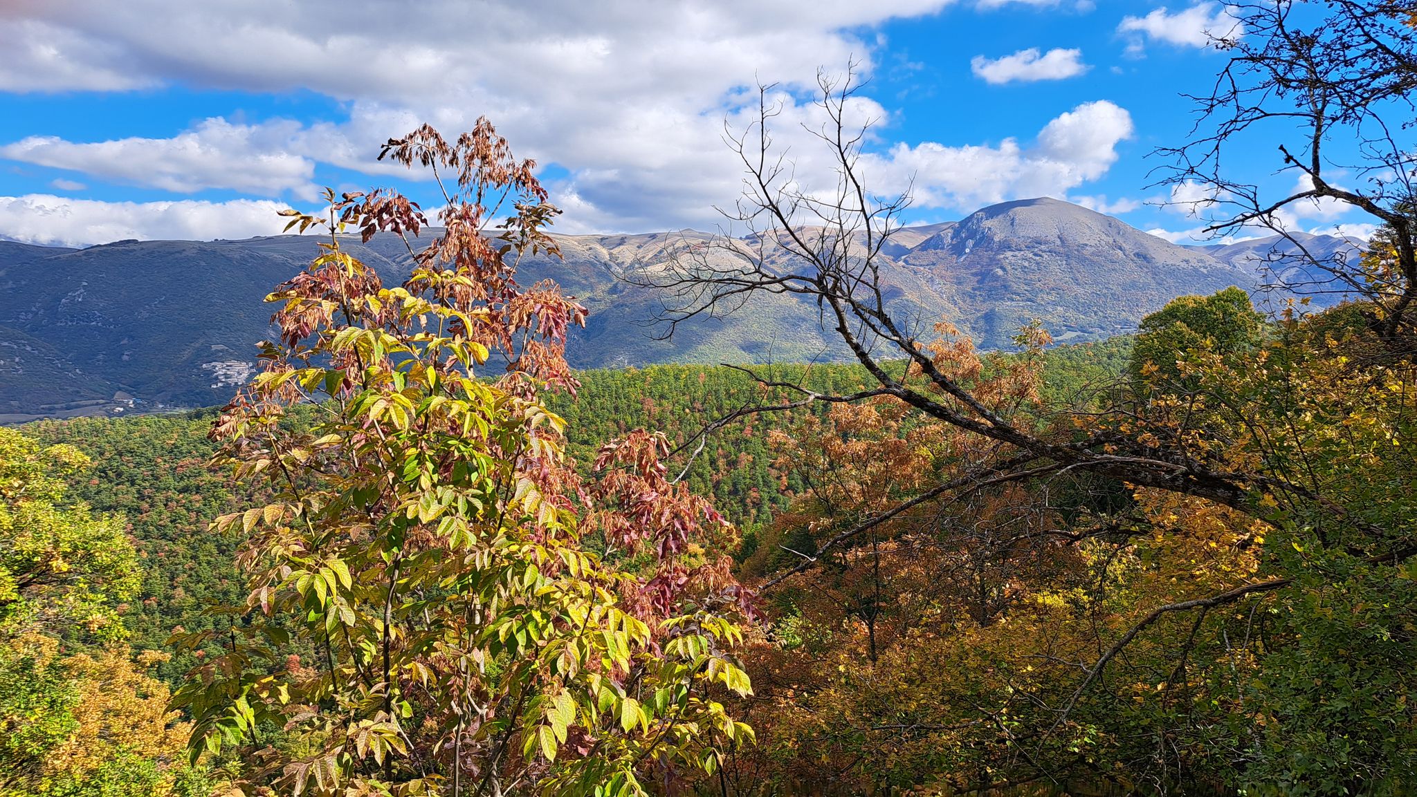 Da Abeto bella vista sui Monti Sibillini