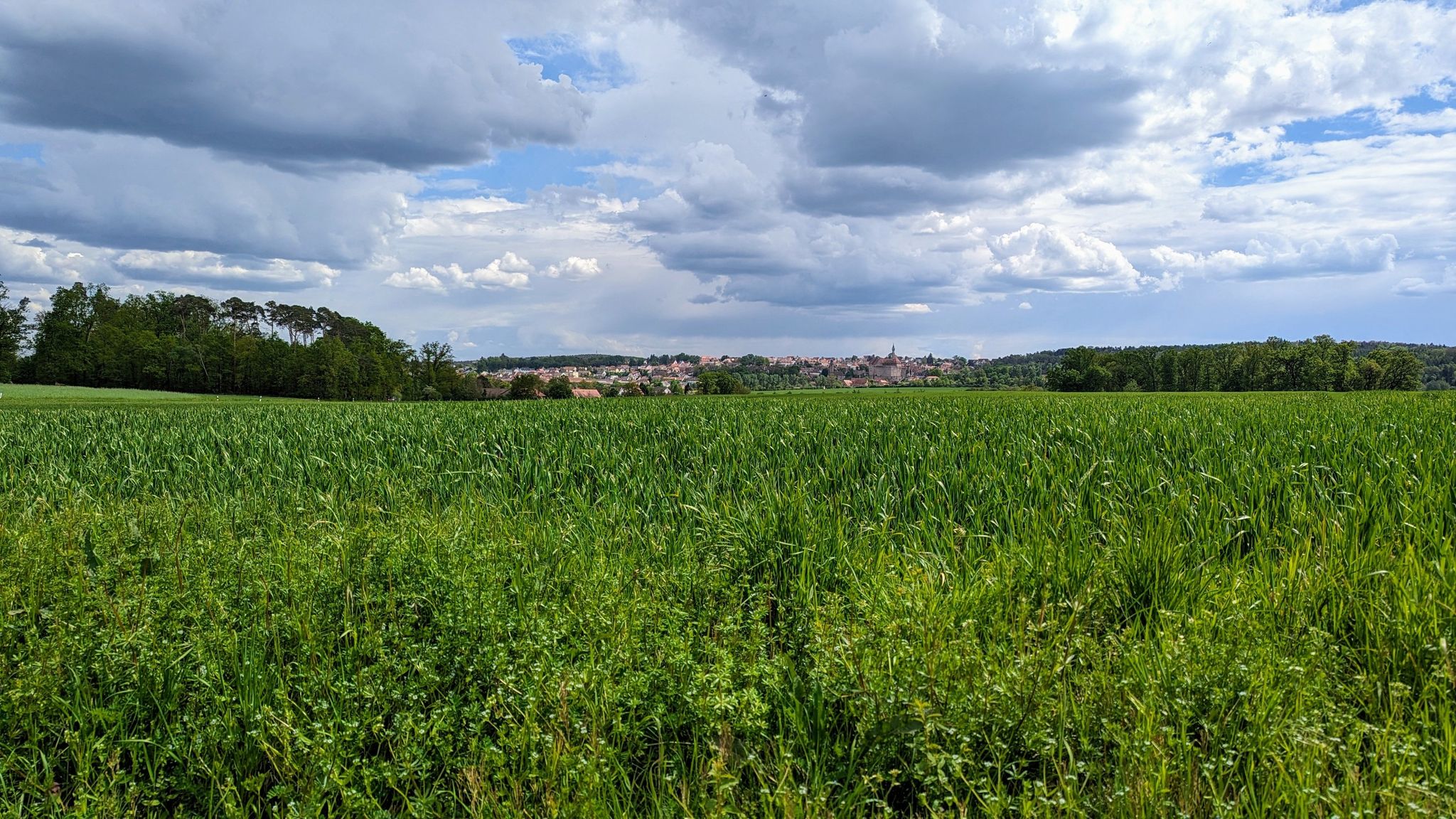 Blick auf Cadolzburg