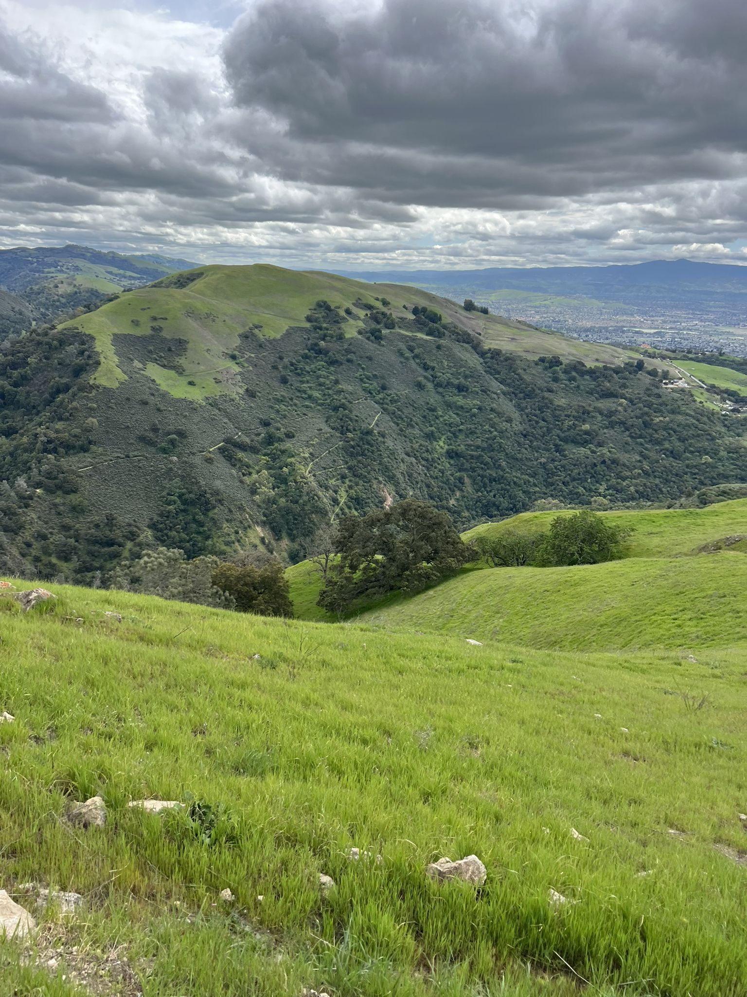 Rolling green hills under a dramatic cloudy sky, with a distant city. - Boccardo Loop Trail