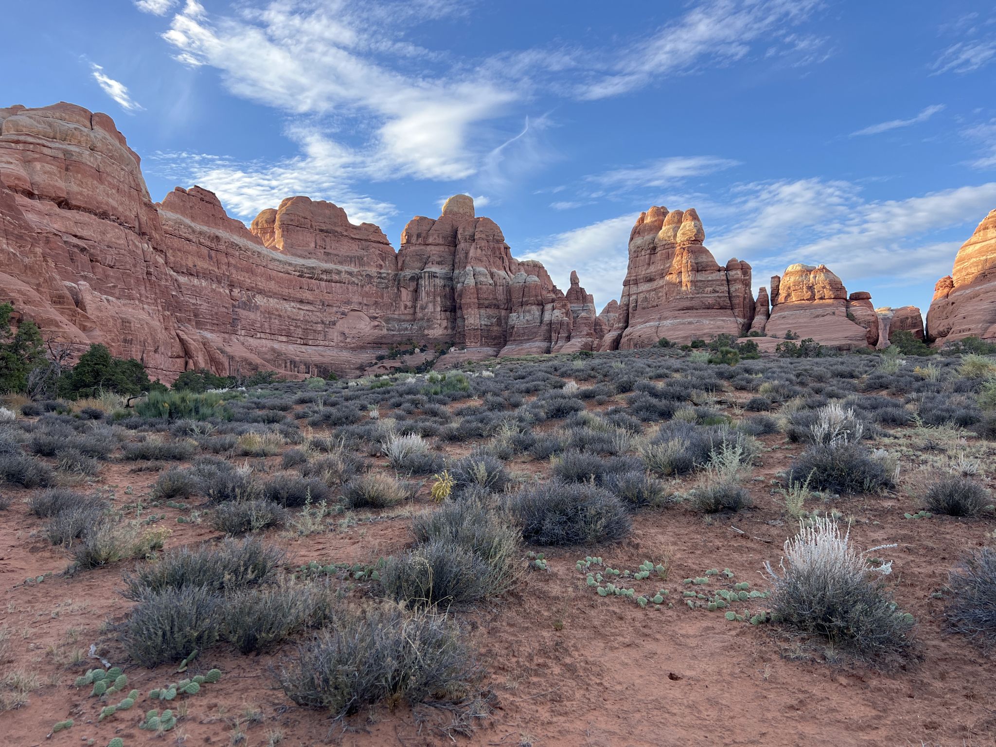 Wide view of red rock cliffs and spires above a brush-filled desert floor. - Squaw Flat Trailhead – Distance view of Elephant Hill loop from Salt Flat Trailhead