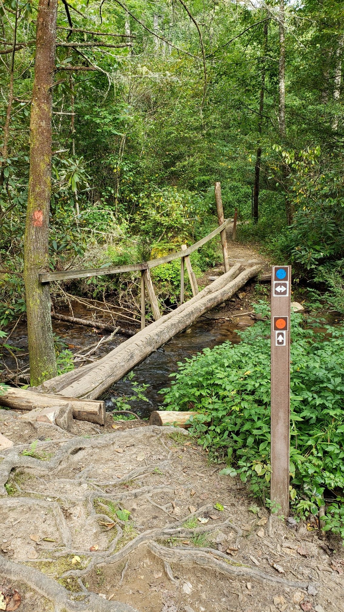 Rustic wooden bridge crosses a stream in a lush, shaded forest. - Andy Cove Nature Trail – Pisgah Ranger Station loop from Davidson River