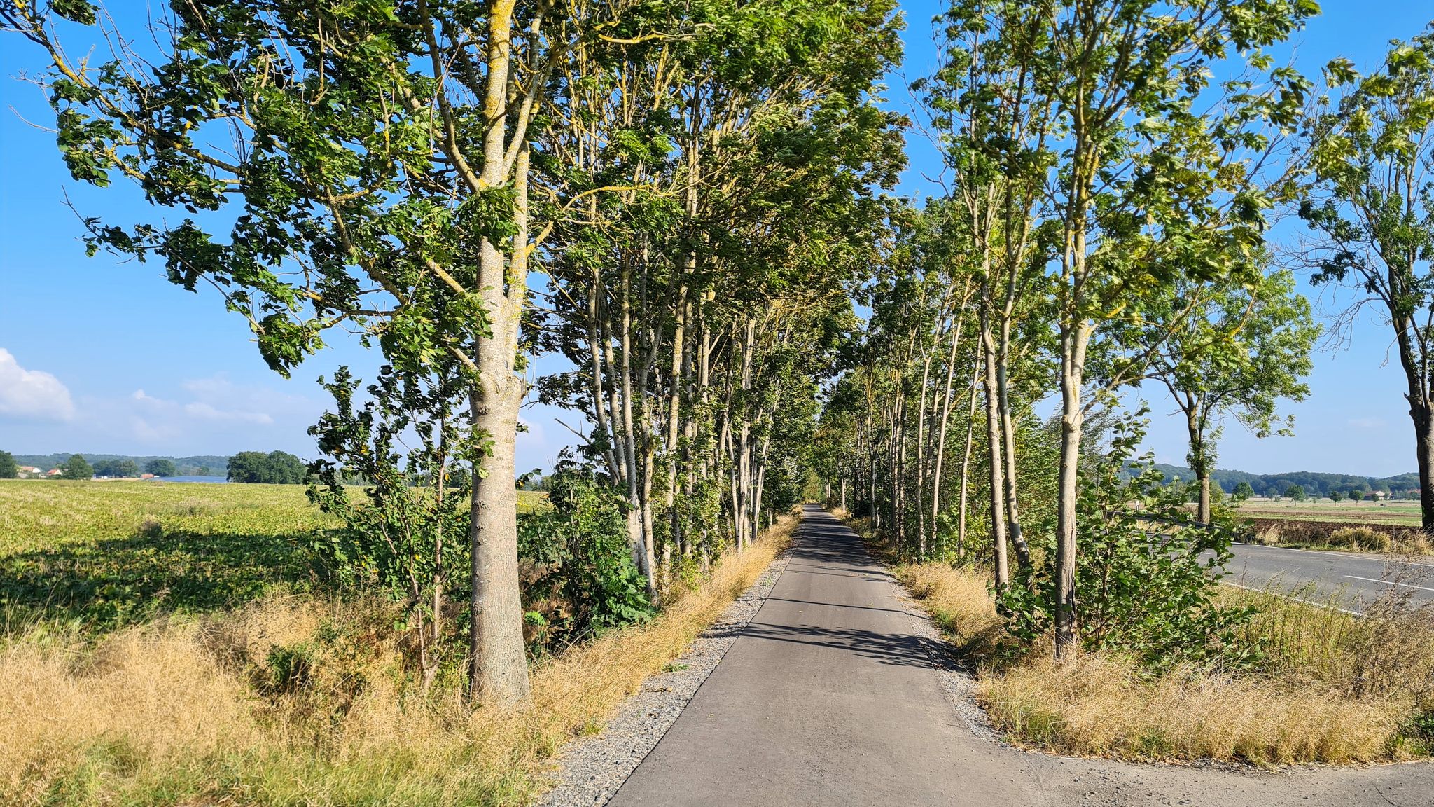 schöner Radweg neben ruhiger Landstraße