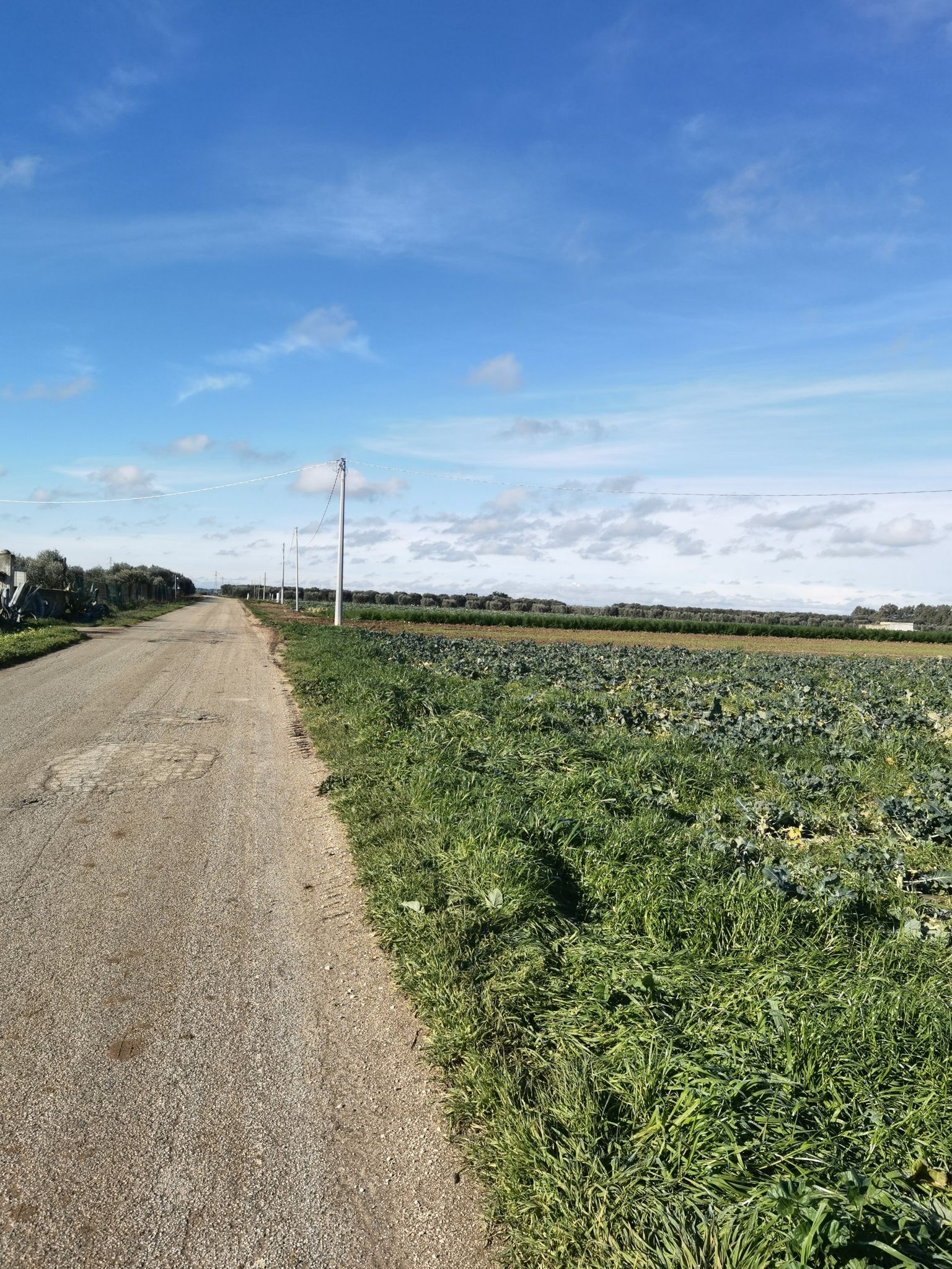 strada finocchio