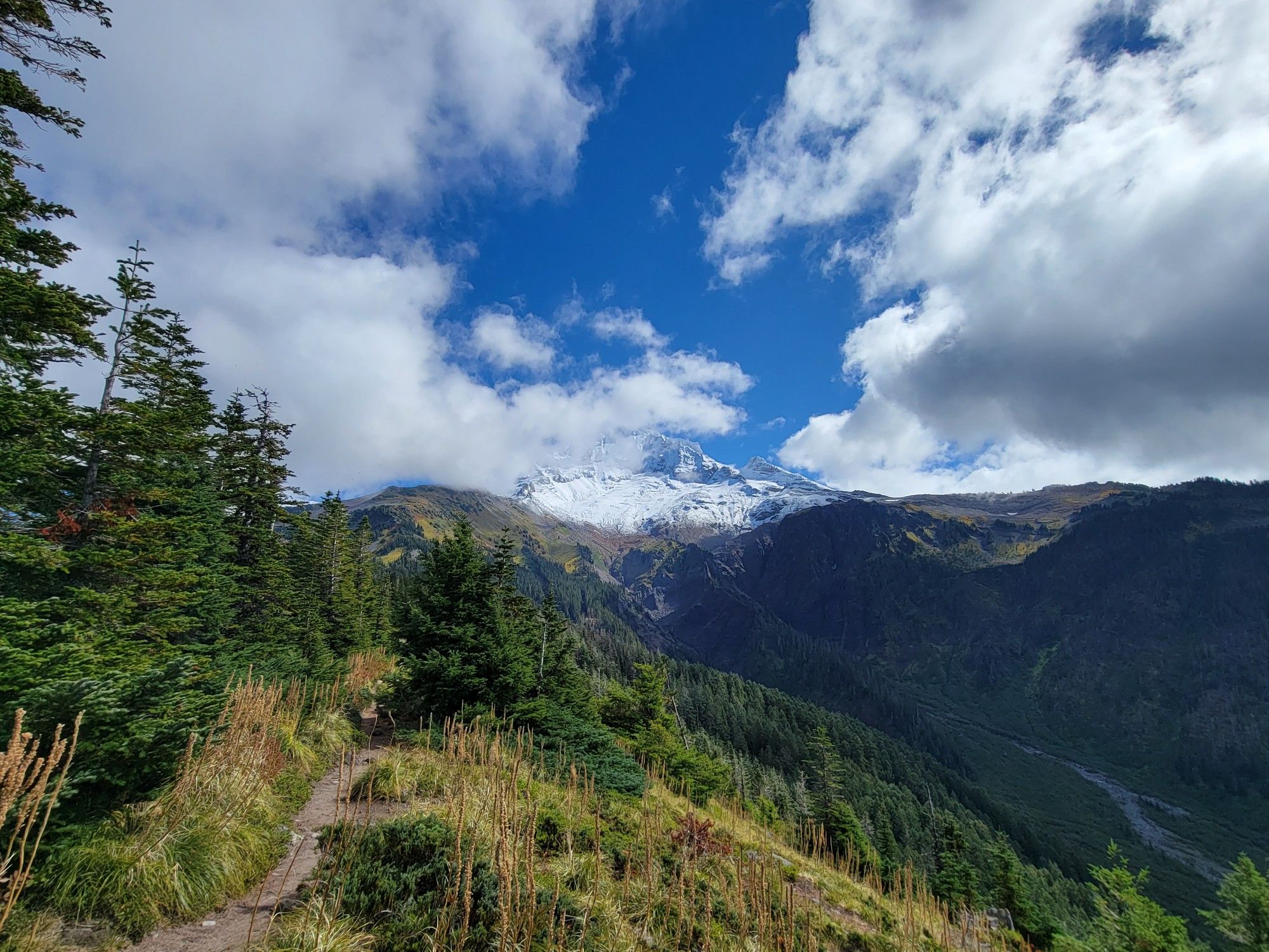 A hiking trail winds through a forested mountain landscape under a cloudy sky. - McNeil Point Trail