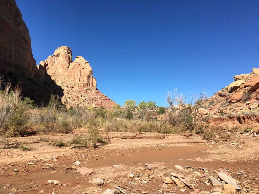 Dry canyon floor with sparse brush, towering sandstone cliffs under clear blue sky. - Crack Canyon Trail