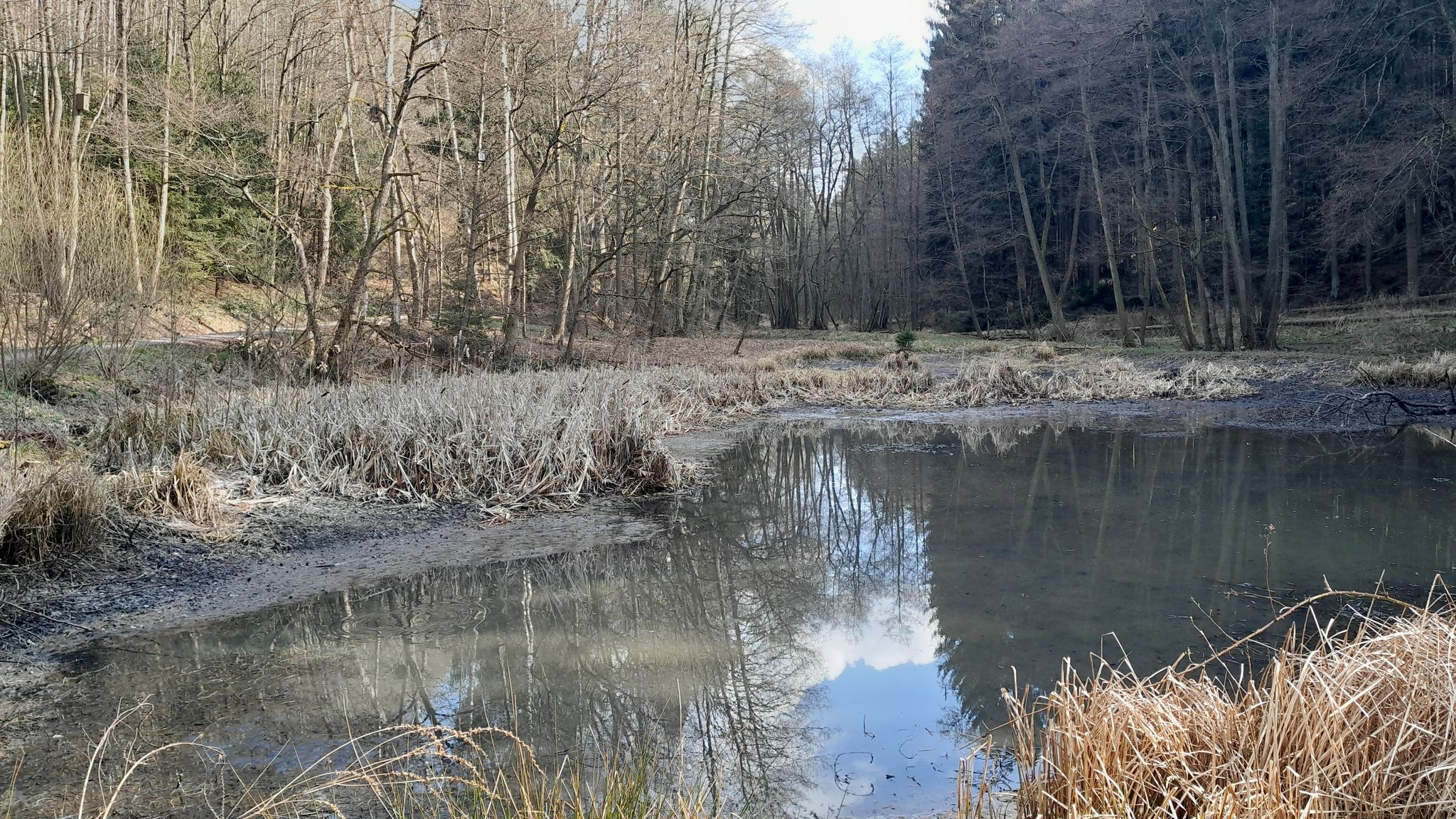 Lochmühlenteich