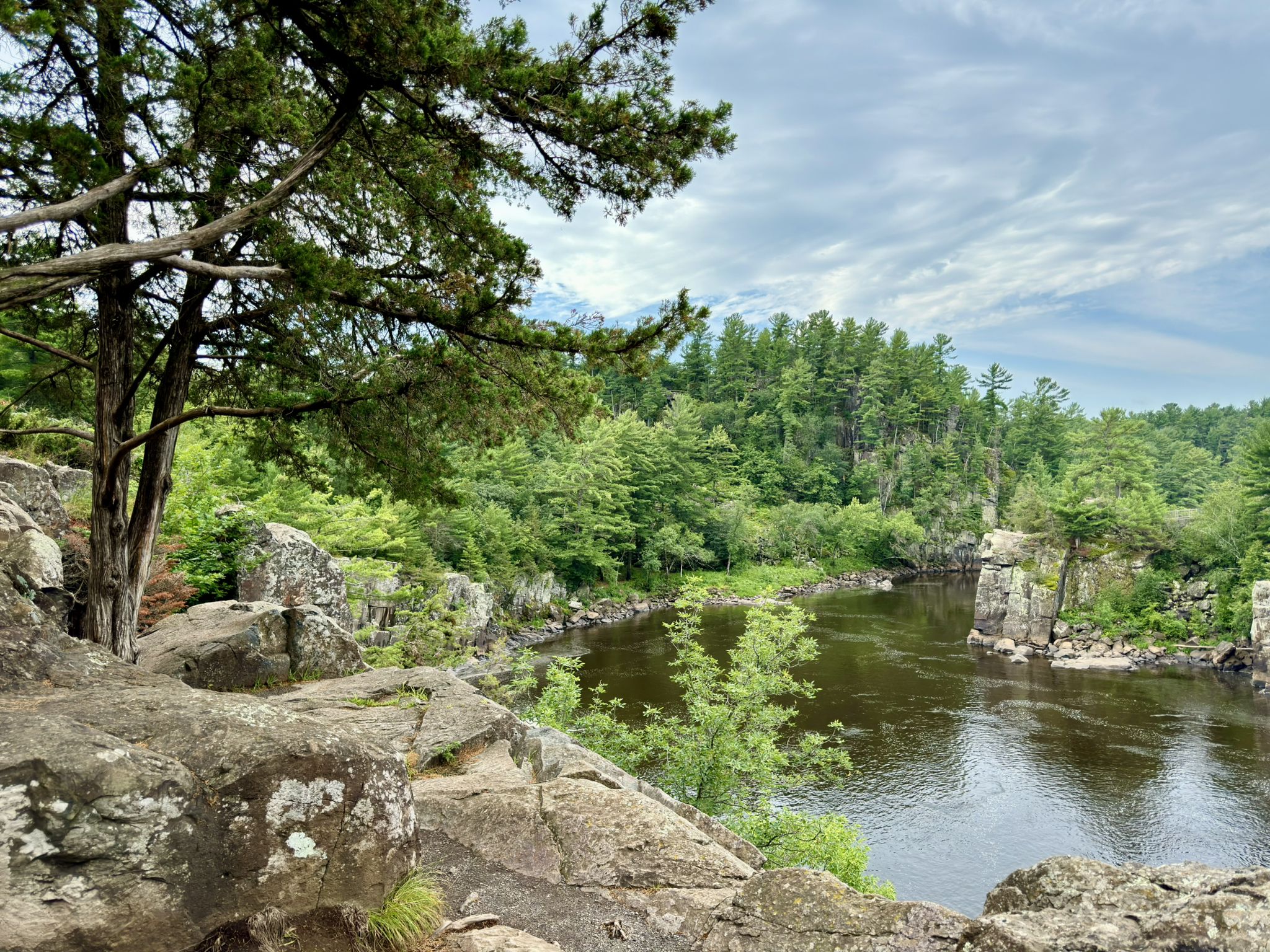 Rocky cliff overlooking a river surrounded by lush green trees. - Lake O' the Dalles Beach – Shelter loop from Interstate Park