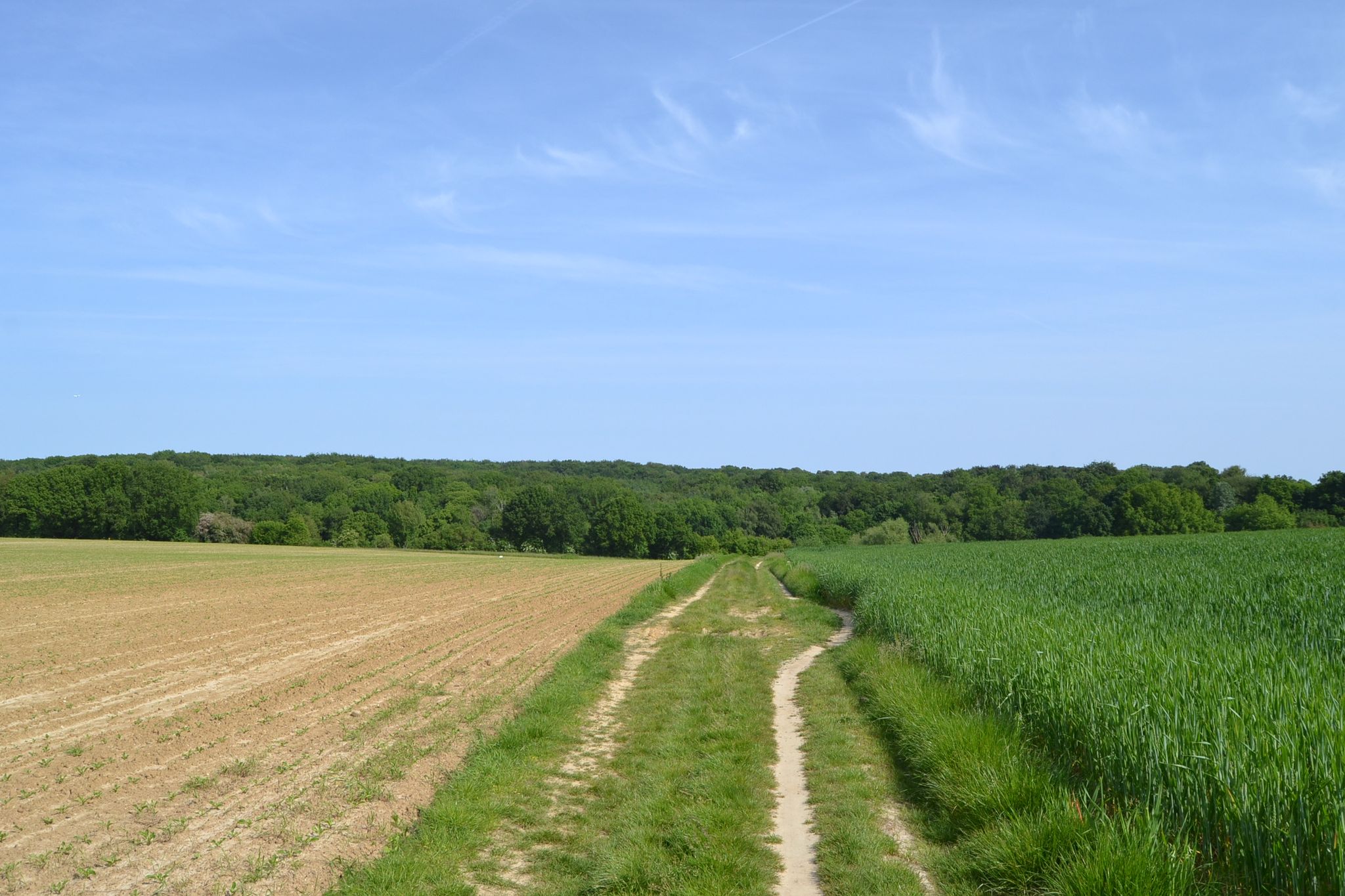 zicht op Bertembos