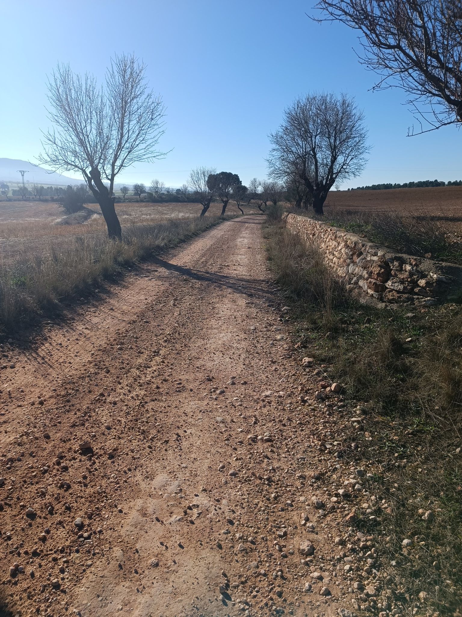 la Peña