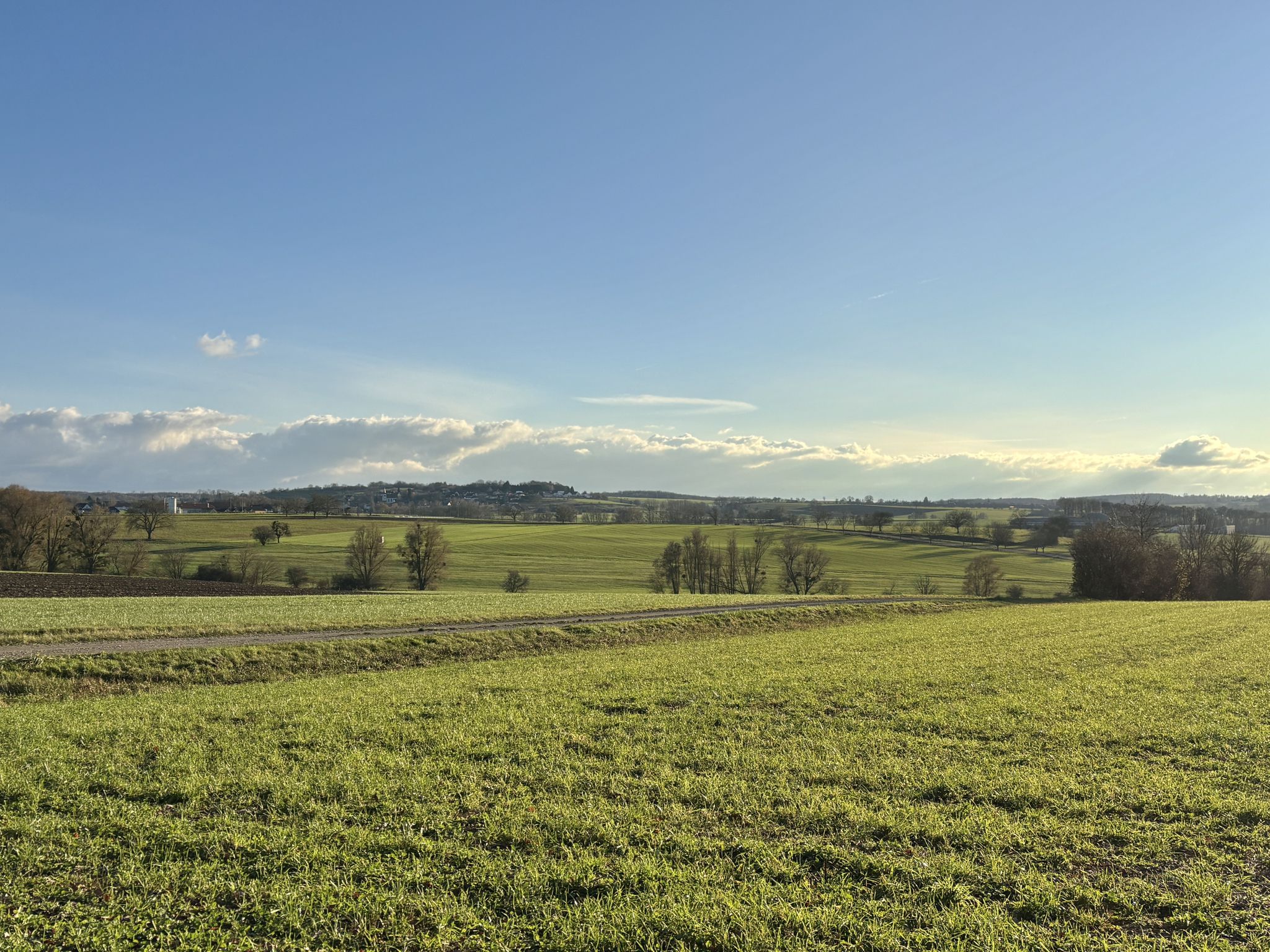 Les plaines de l’Alsace Bossue