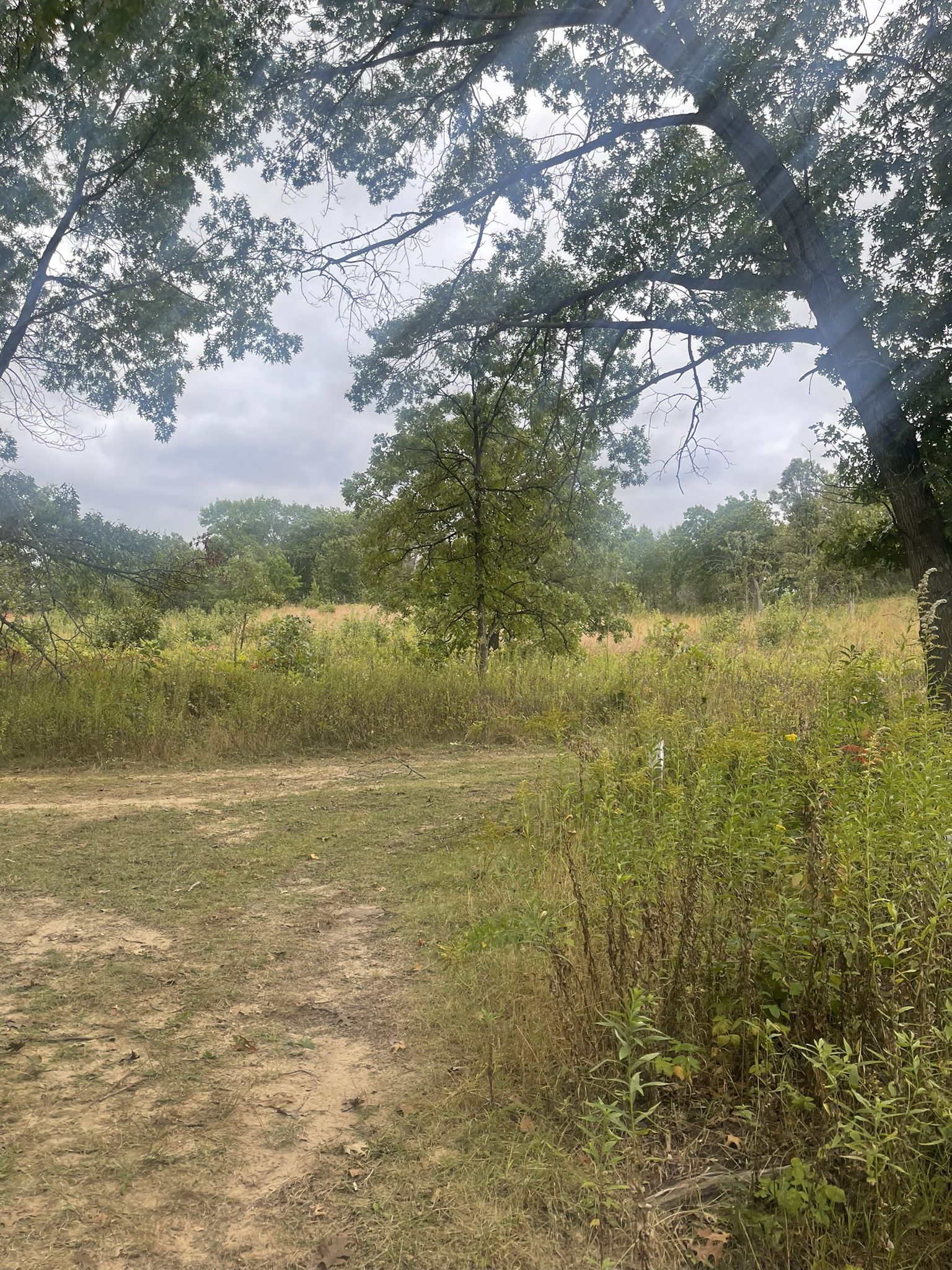 Dirt path leading into a grassy field with scattered trees under a cloudy sky. - Cannonball Loop