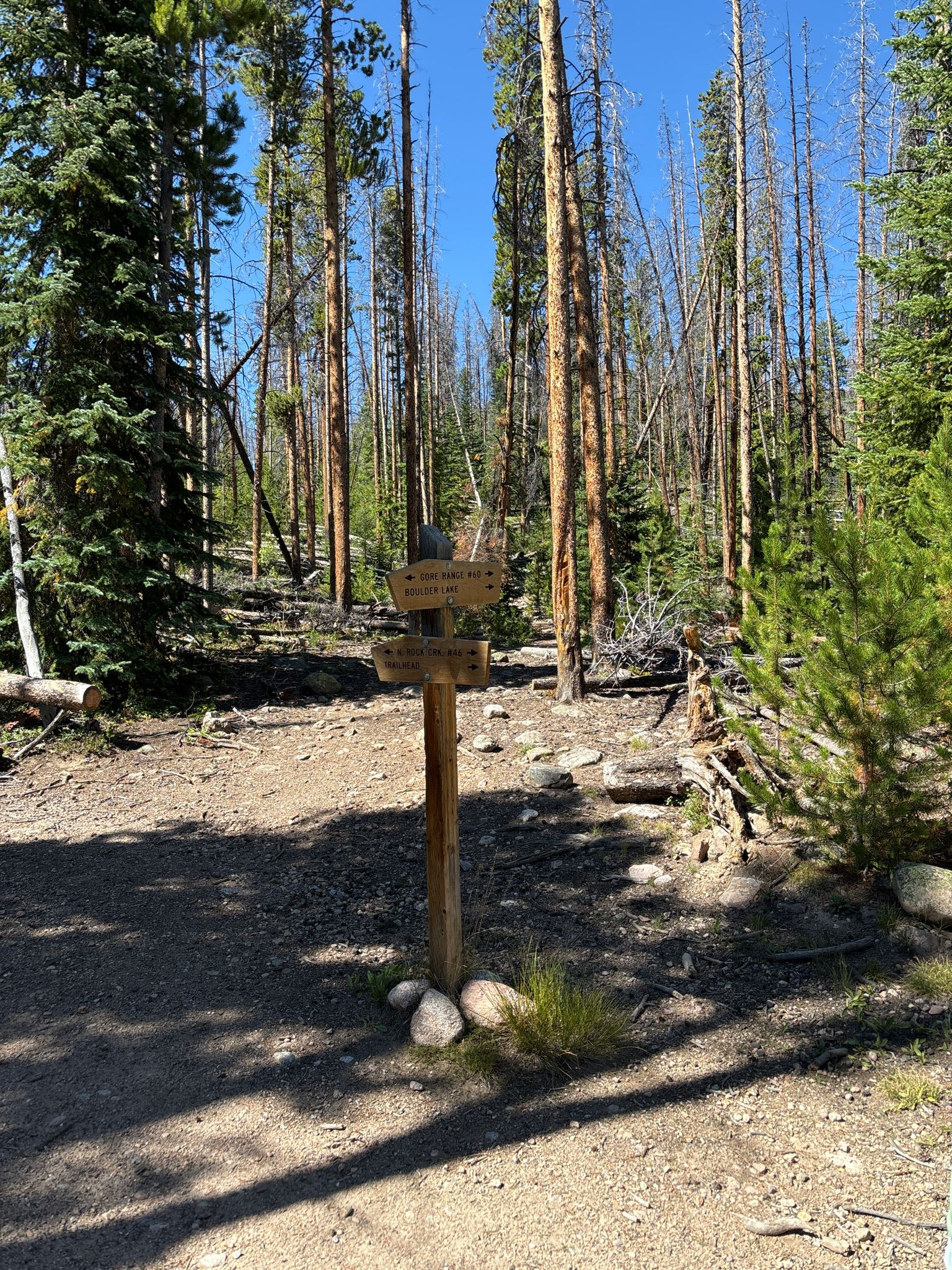 A wooden trail signpost stands on a sunlit dirt path in a pine forest. - Kettle Ponds