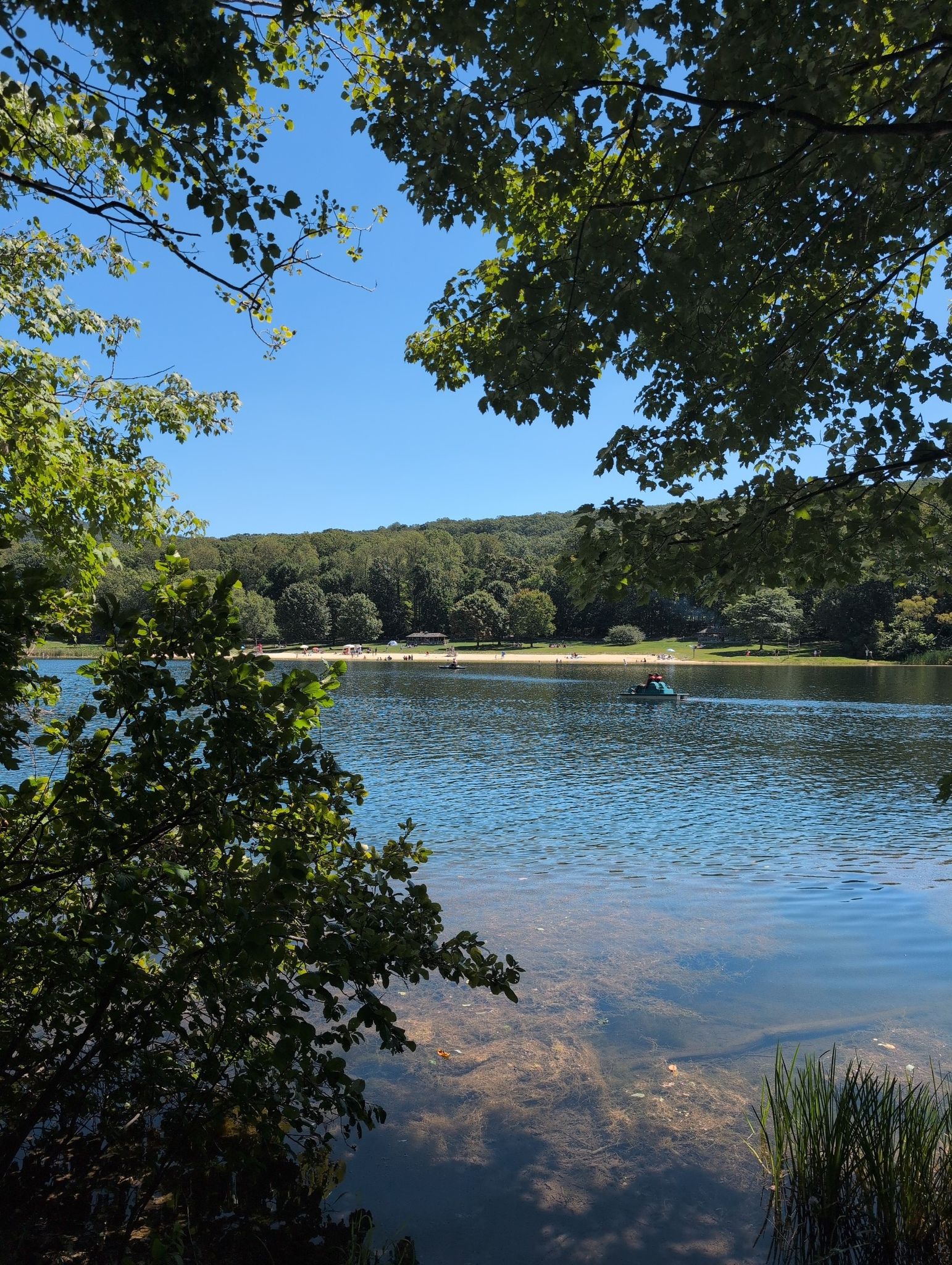 Green tree branches frame a sunny lake with a small boat and distant beach. - Greenbrier Lake loop