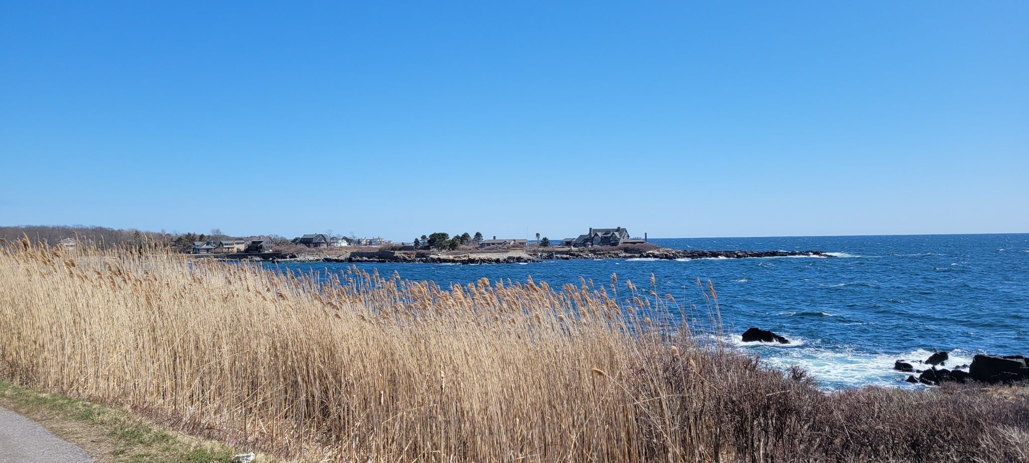 Bright sunny day over a blue ocean with tall dry grass foreground. - Parson's Way and Walker's Point Loop