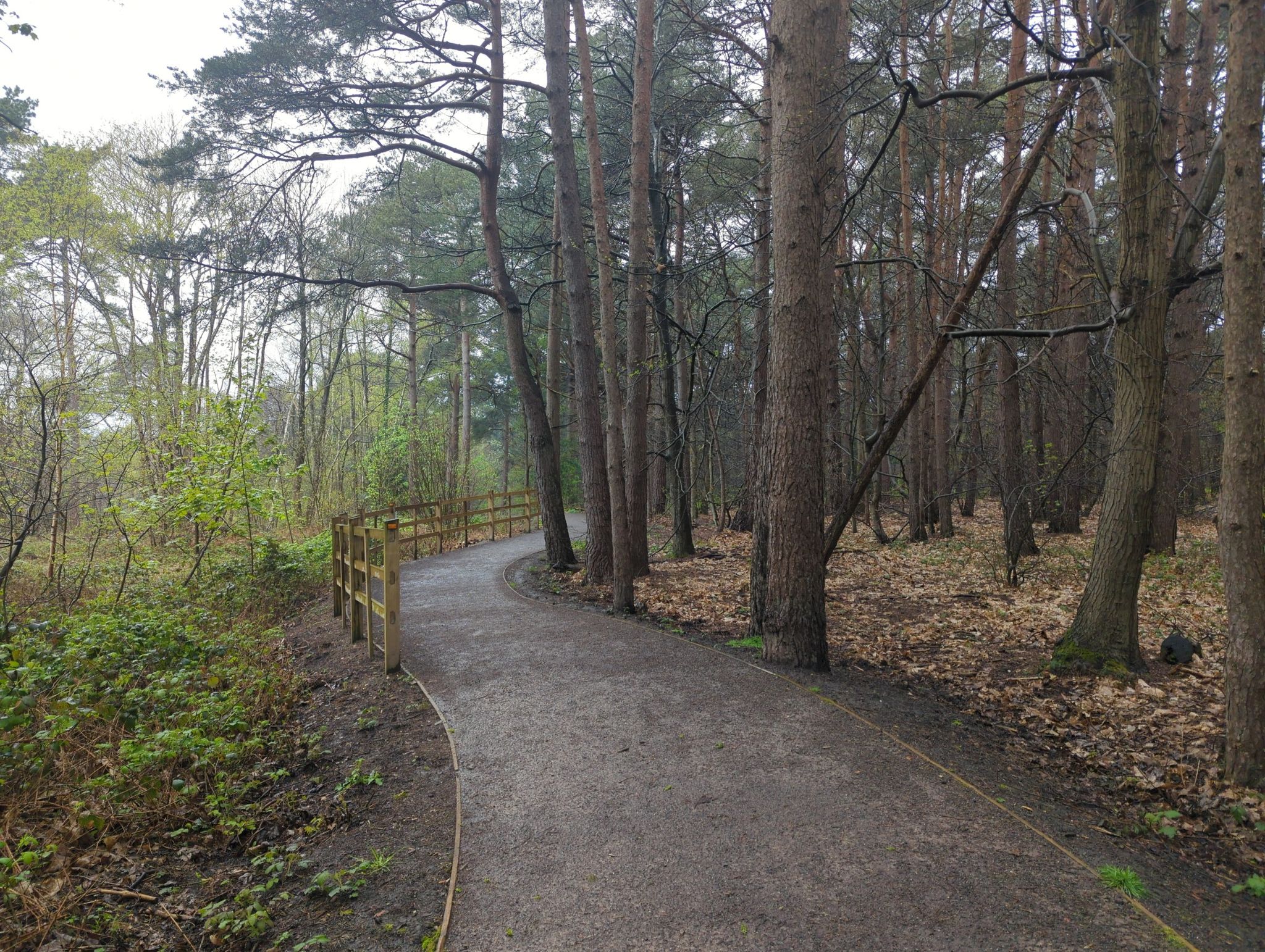 Path