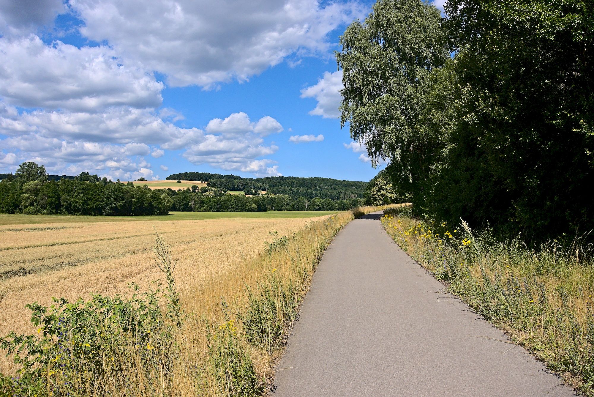 Auf dem tollen Radweg durchs Brendtal