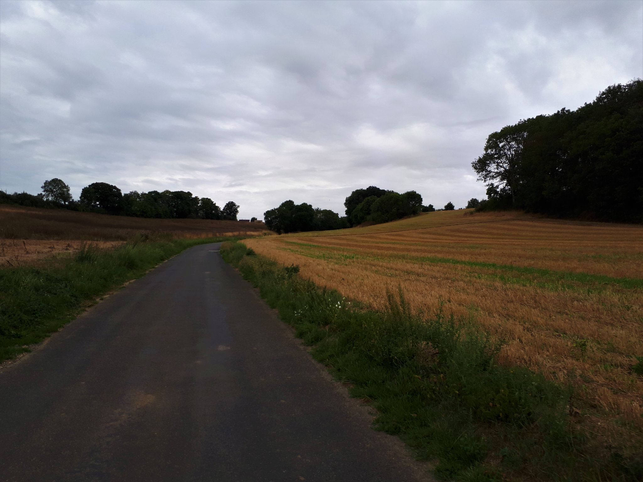 Début du plat